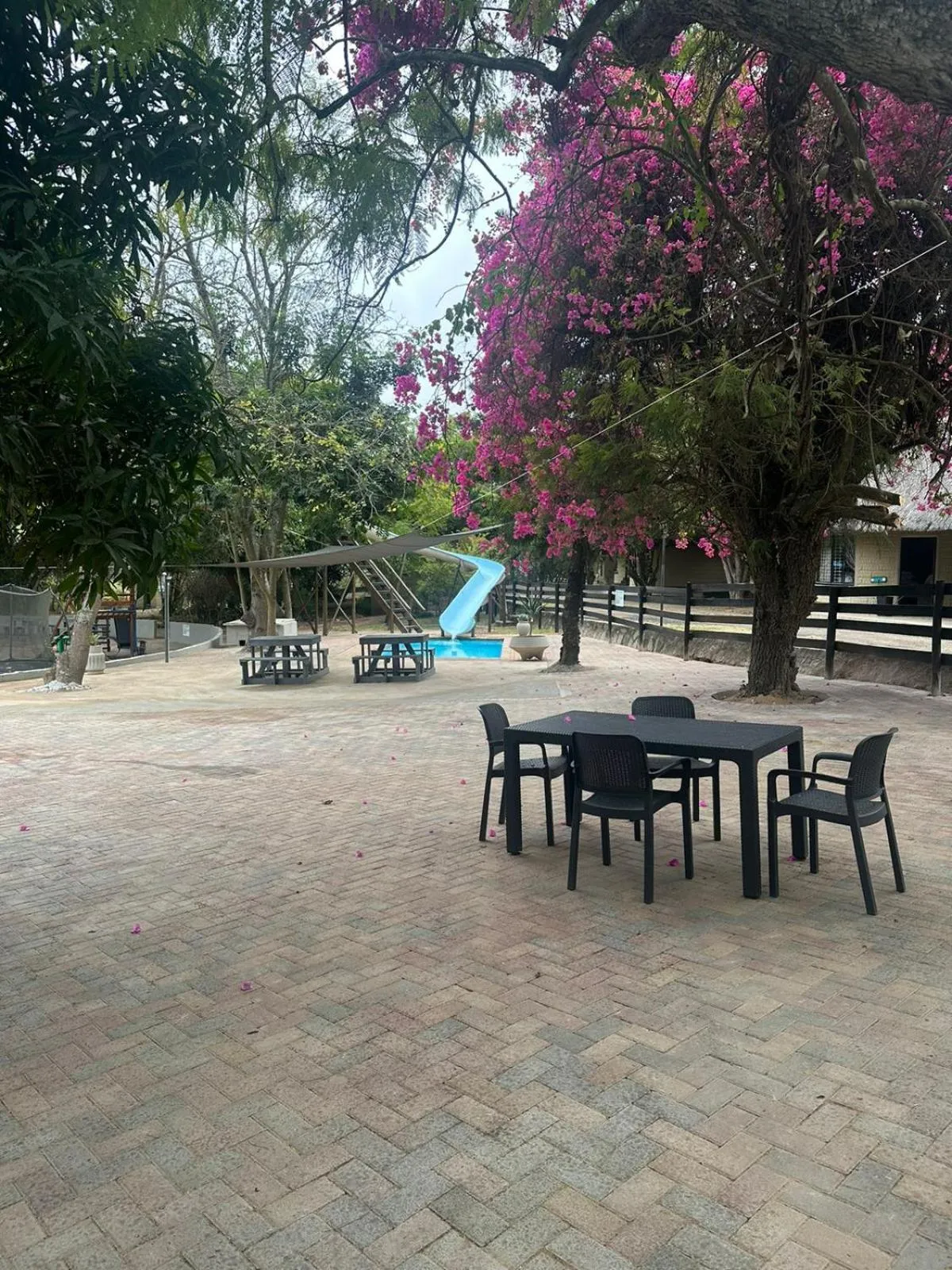 Restaurant/places to eat in Mabalel Lodge