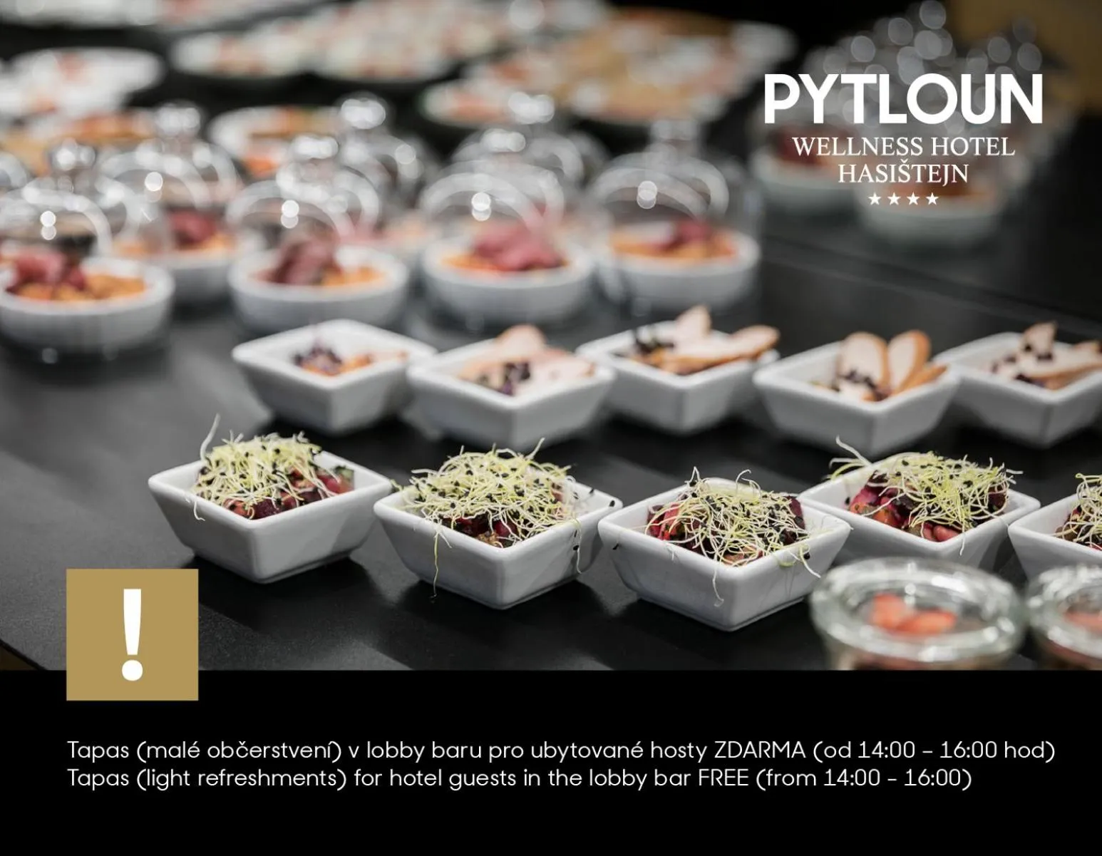 Food in Pytloun Wellness Hotel Hasištejn