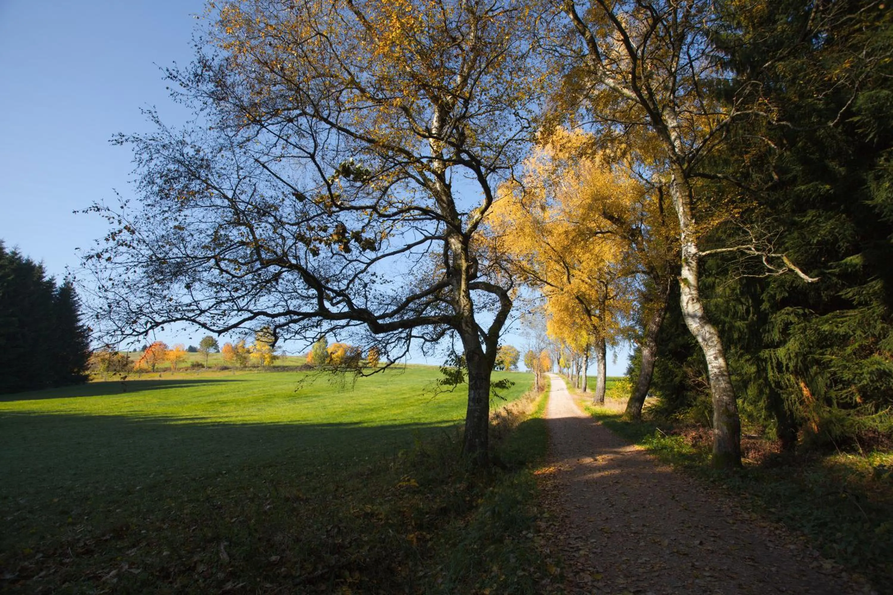 Natural landscape in Pytloun Wellness Hotel Hasištejn