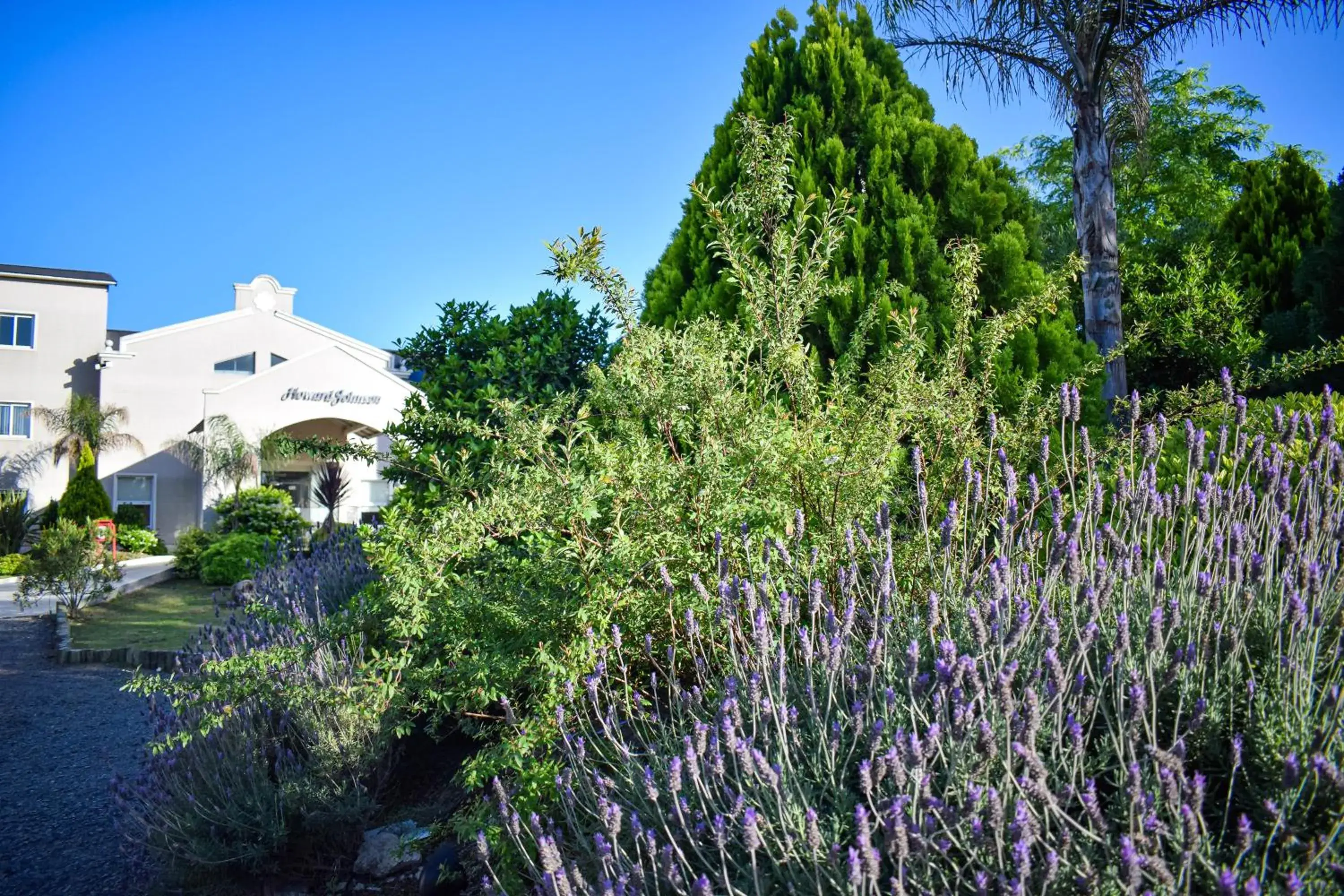Property building in Howard Johnson Plaza & Convention Center Spa La Plata Property building in Howard Johnson Plaza & Convention Center Spa La Plata