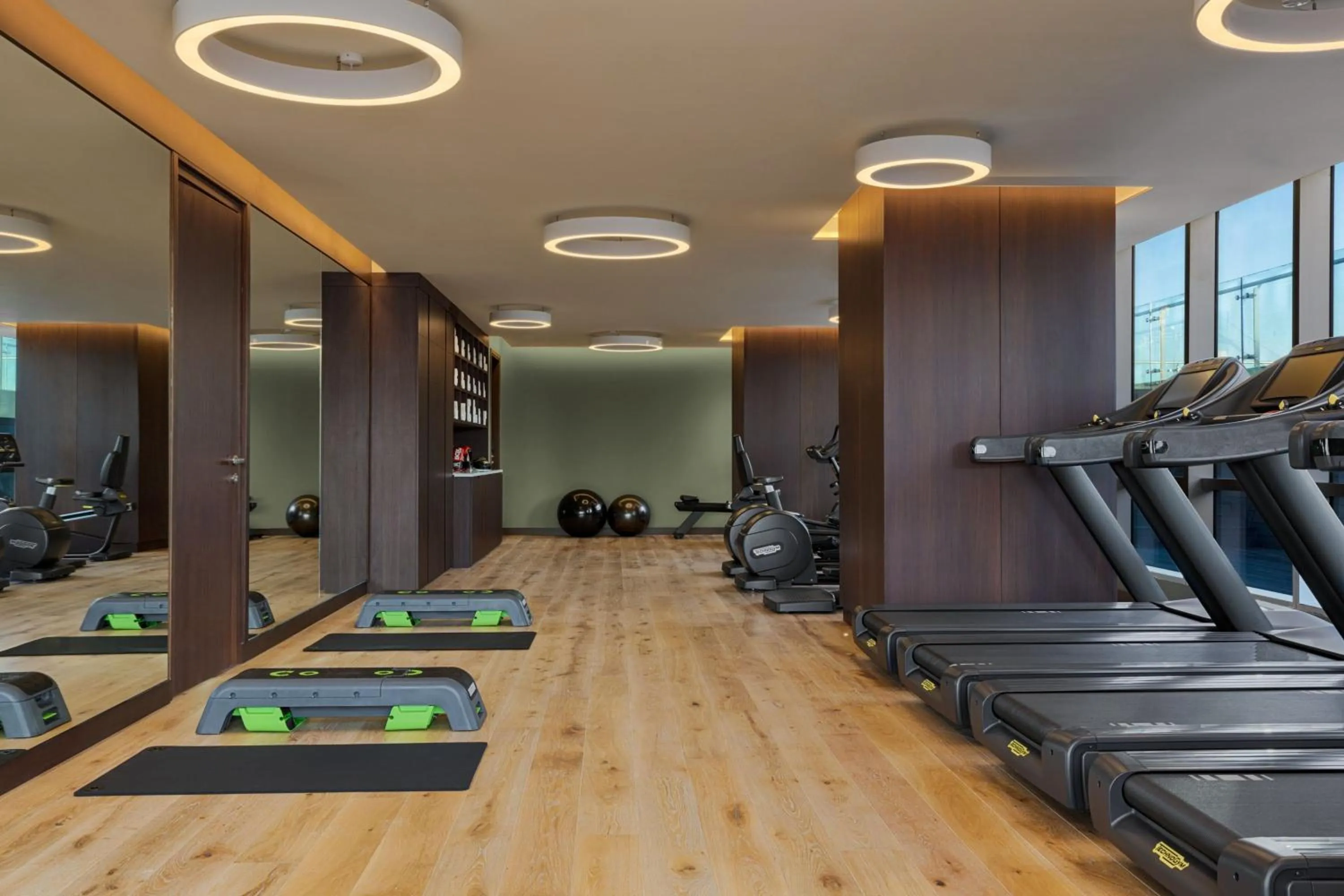 Fitness centre/facilities in Le Meridien Batumi