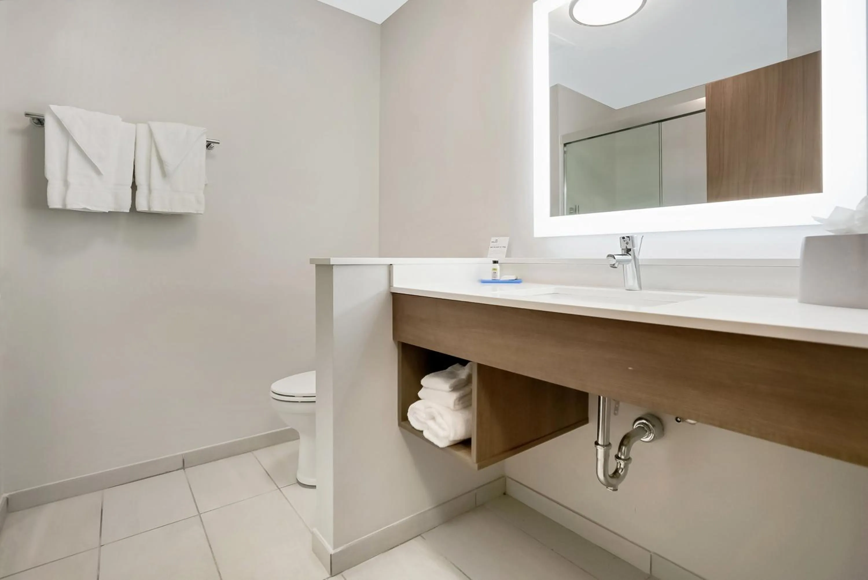 Bathroom in Holiday Inn Express - Jacksonville South Bartram Prk by IHG