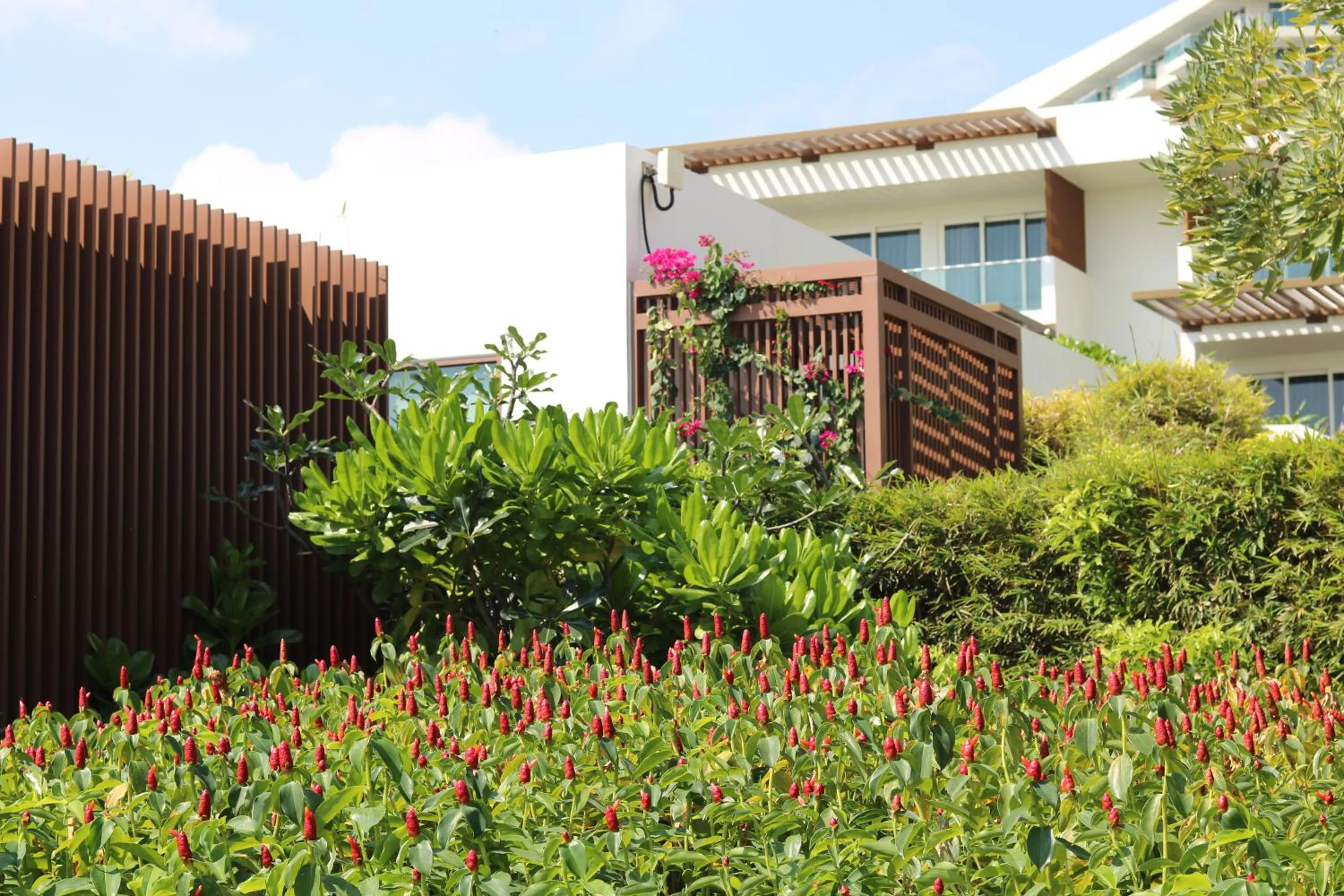 Garden in Alma Resort Cam Ranh