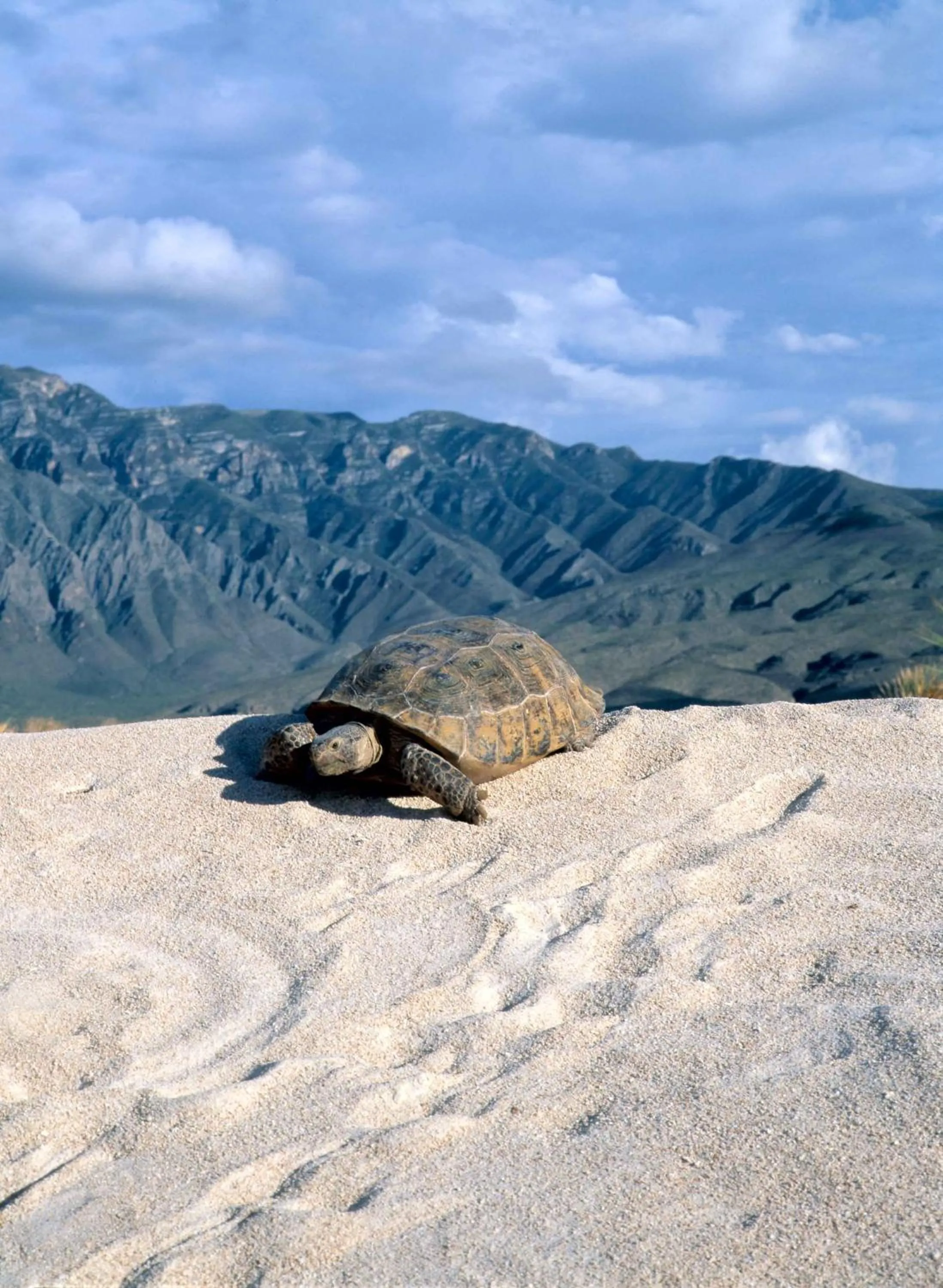 Nearby landmark in Hotel Marielena