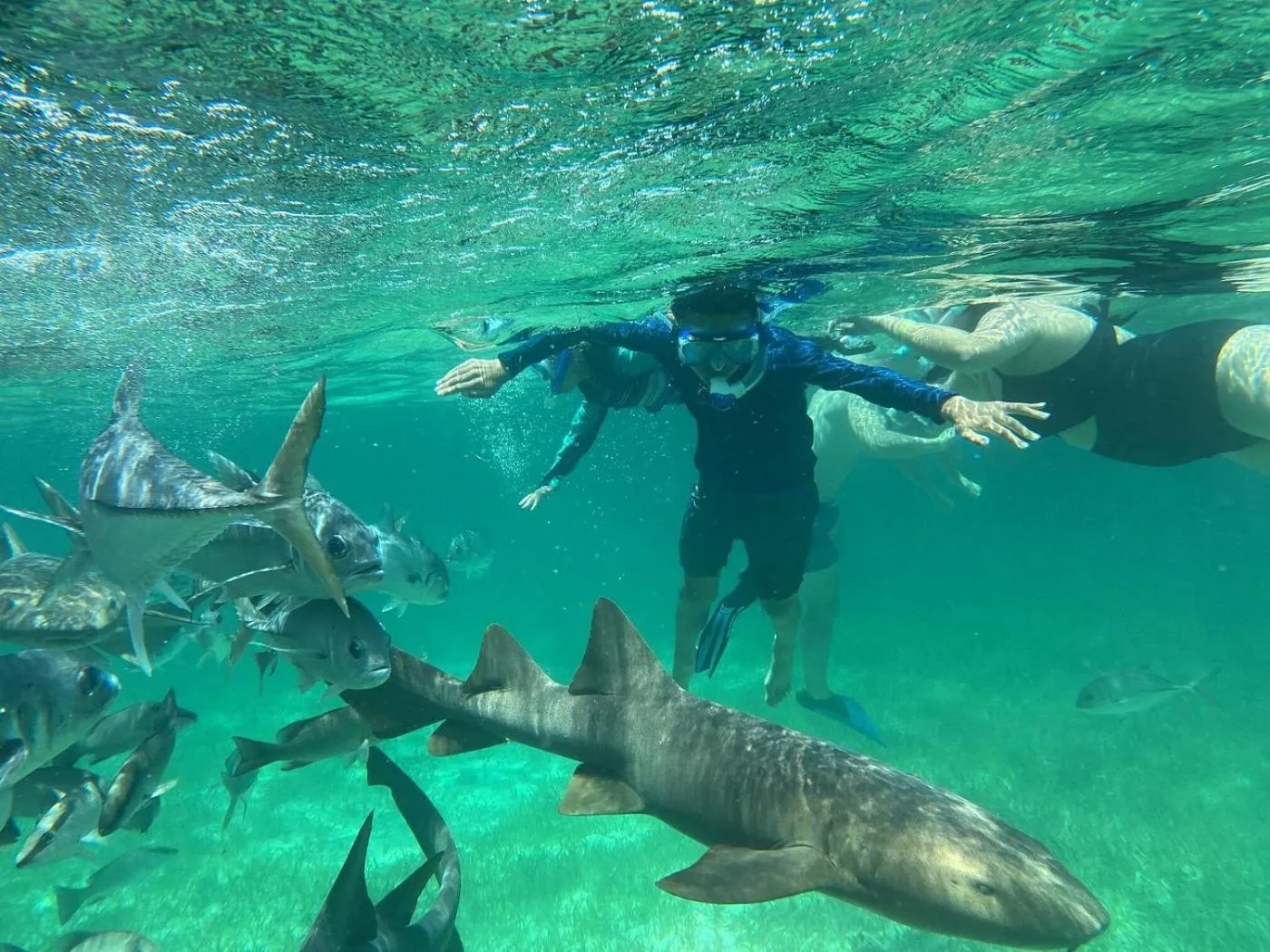 Snorkeling in X'tan Ha- The Waterfront