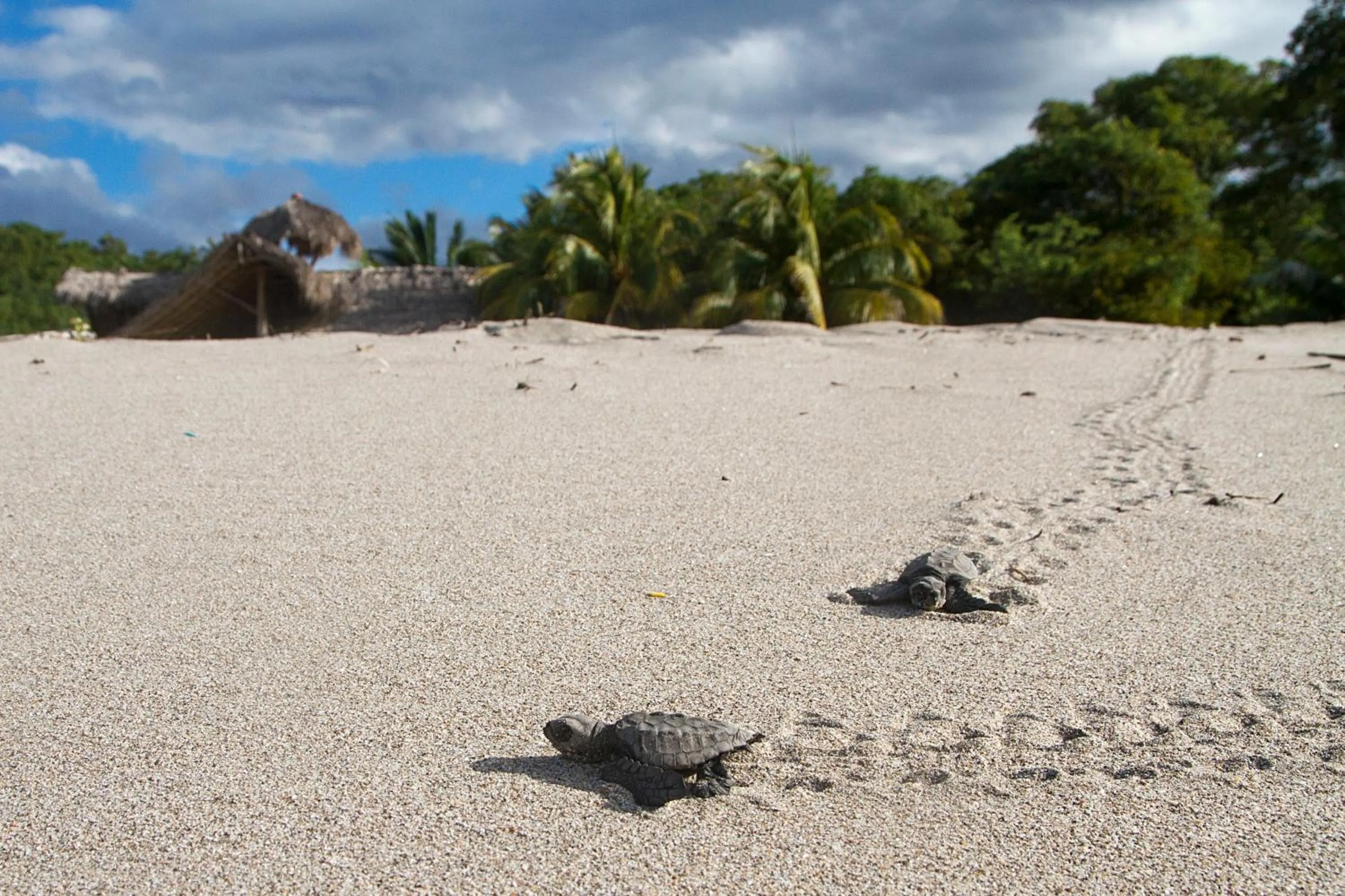 Natural landscape in Morgan's Rock Reserve & Ecolodge
