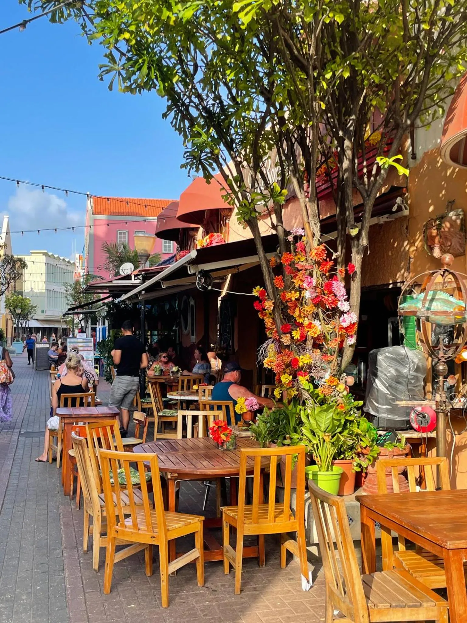 Restaurant/places to eat in Hibiscus Beach House