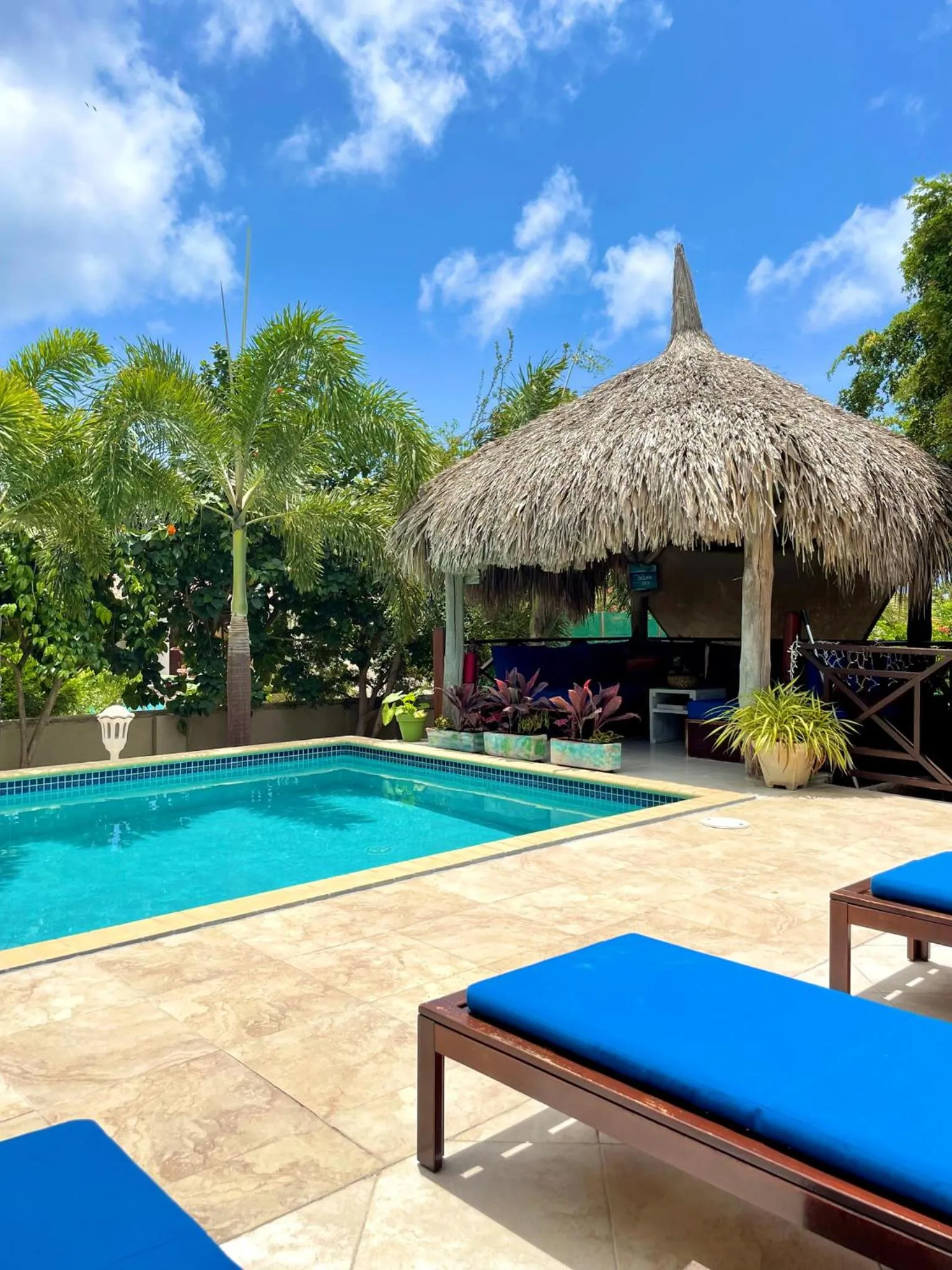 Swimming pool in Hibiscus Beach House