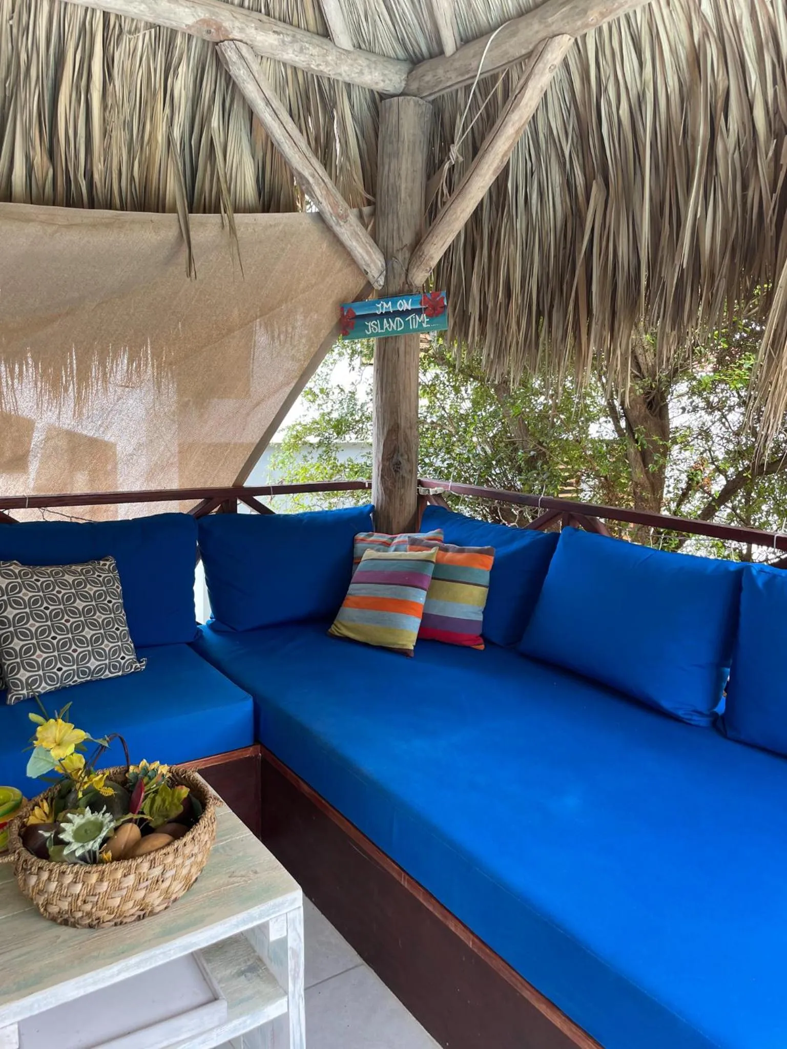 Garden in Hibiscus Beach House
