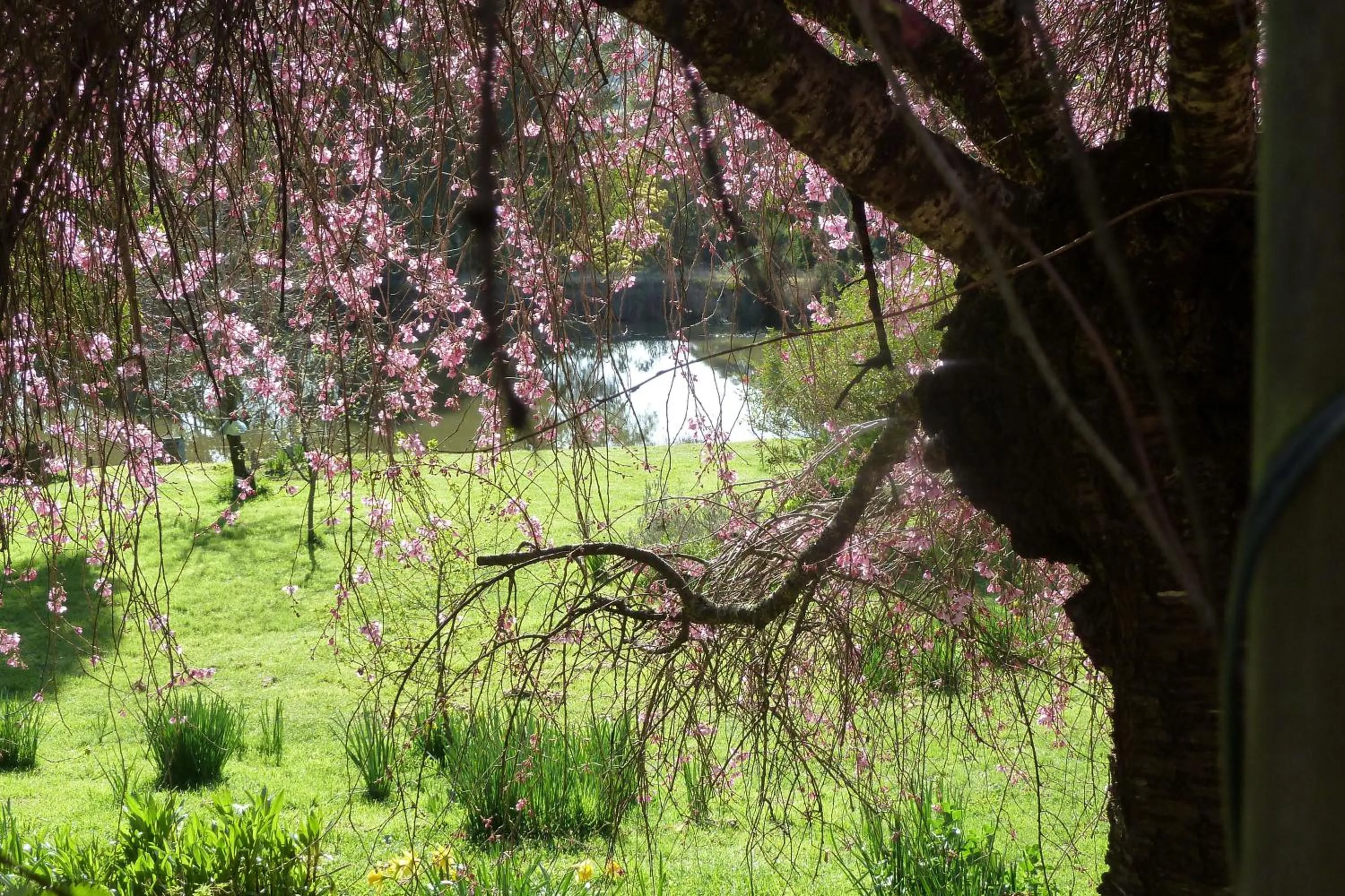 Natural Landscape in Birdwing Bed and Breakfast Weegena