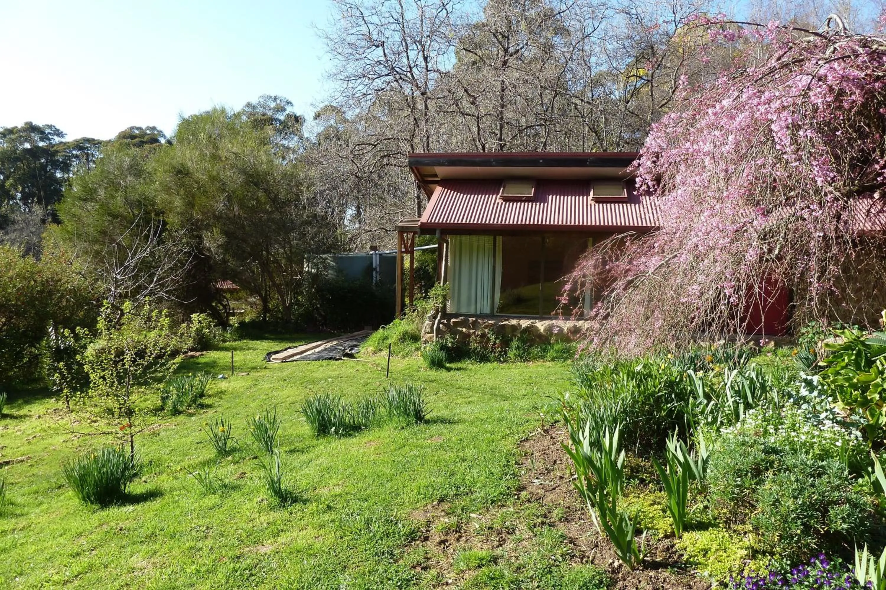 Property Building in Birdwing Bed and Breakfast Weegena