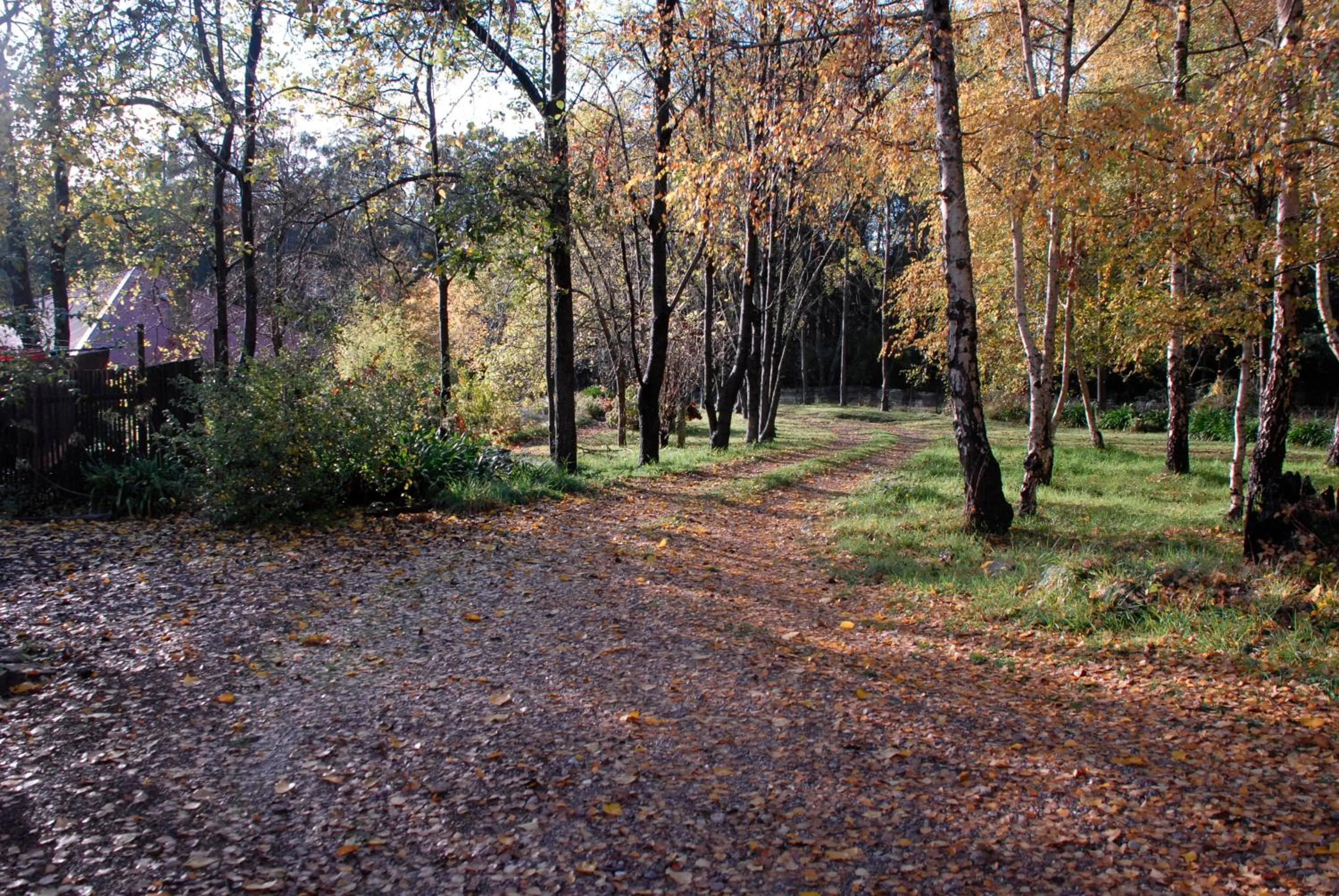 Birdwing Bed and Breakfast Weegena