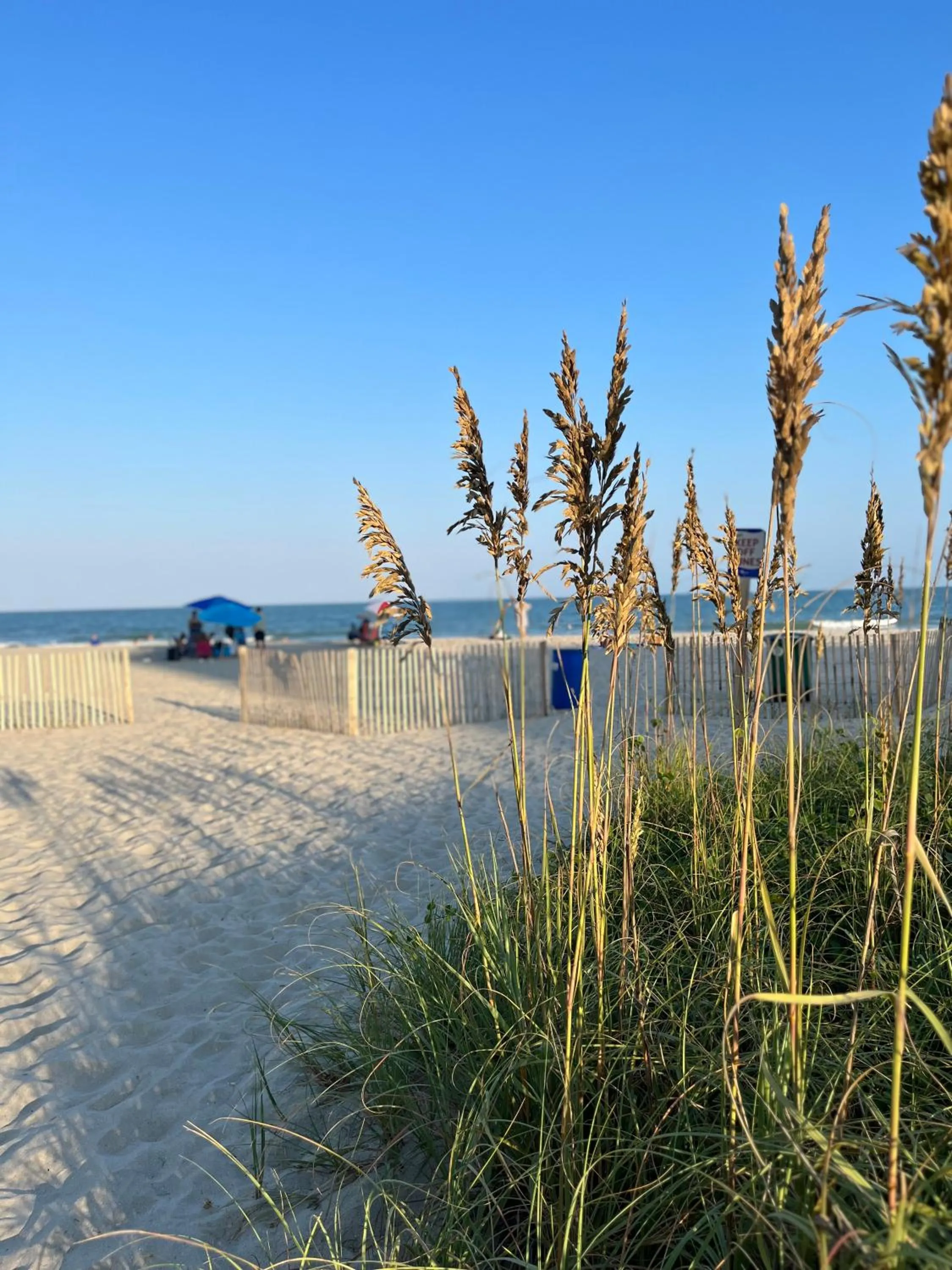 Ocean Dream Vacation