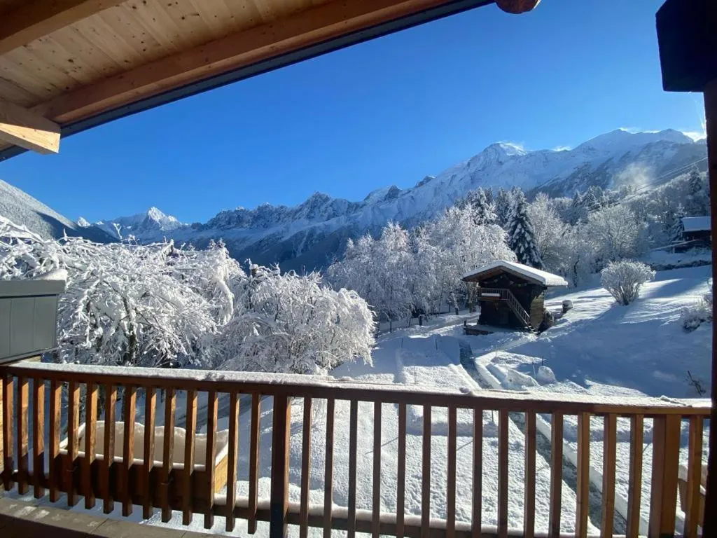 Chalet Mountain Vibes