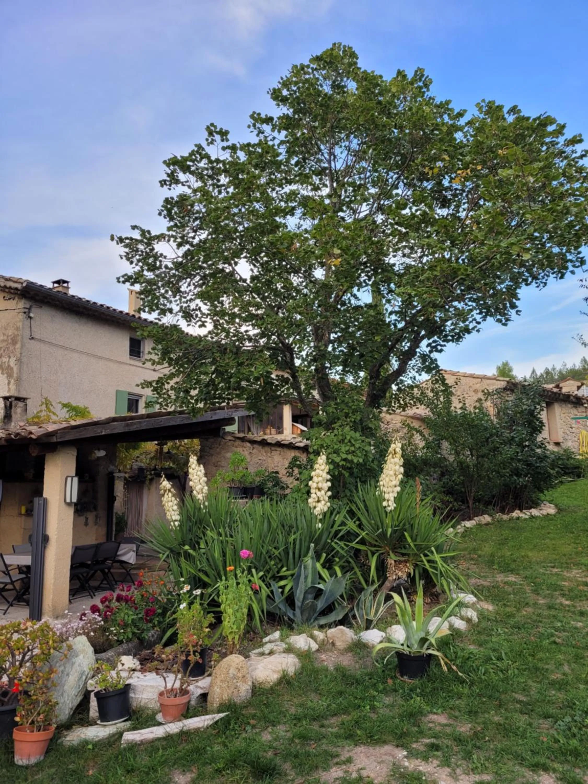 Garden in Mas de Reilhanette