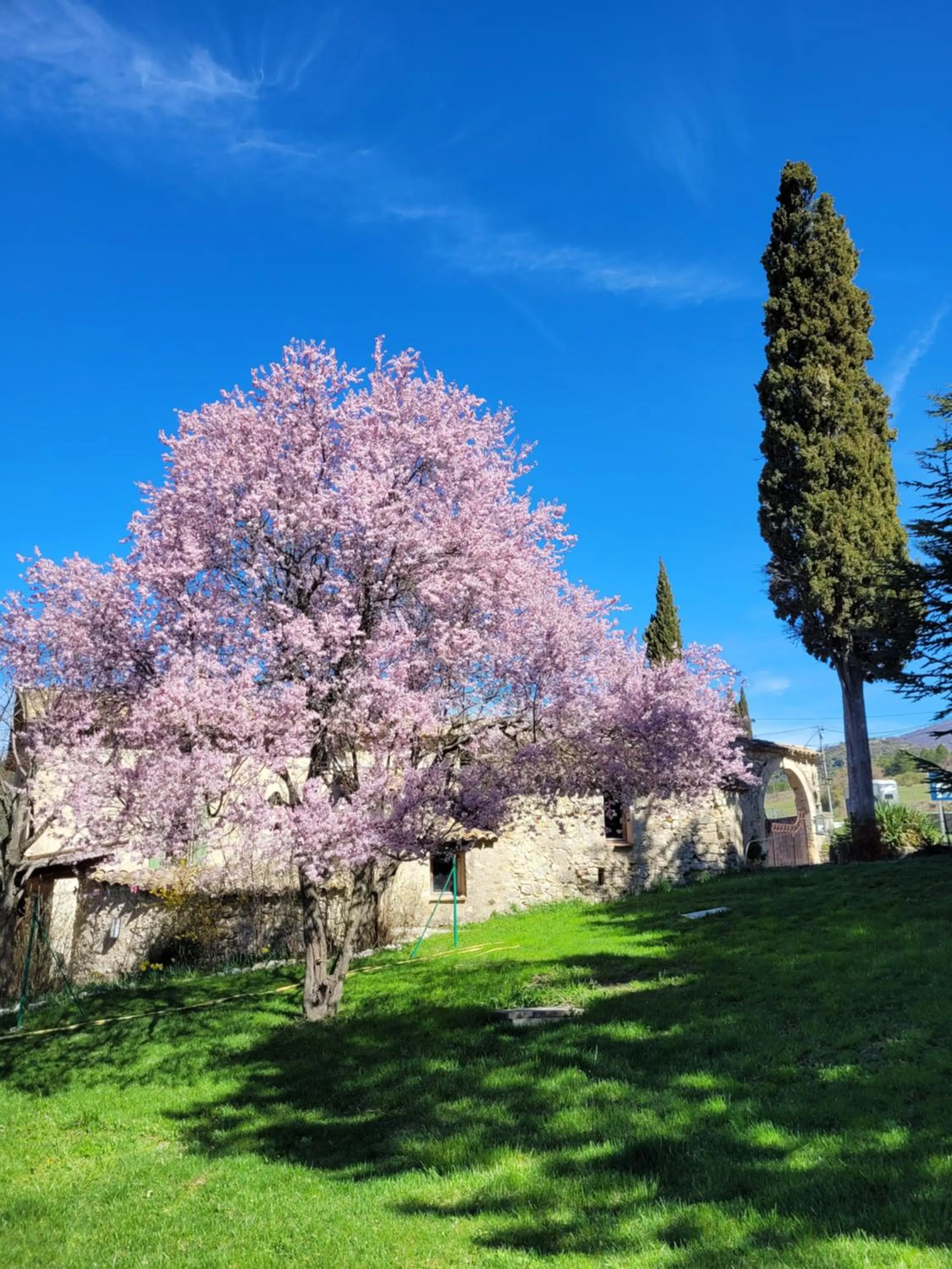 Garden in Mas de Reilhanette