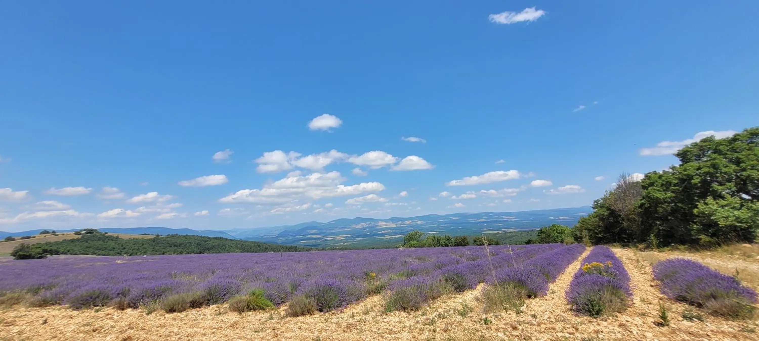 Nearby landmark in Mas de Reilhanette