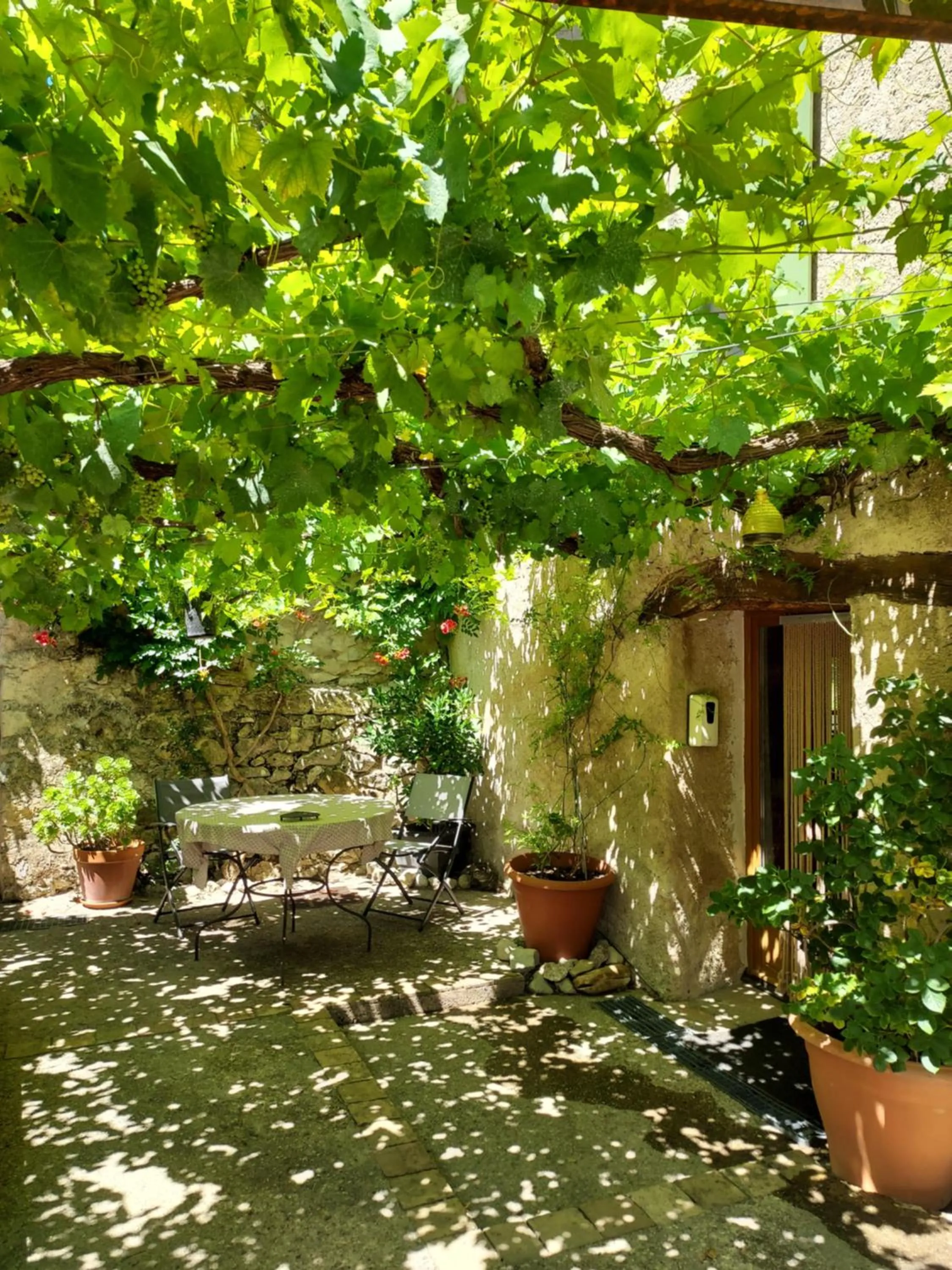 Garden view in Mas de Reilhanette