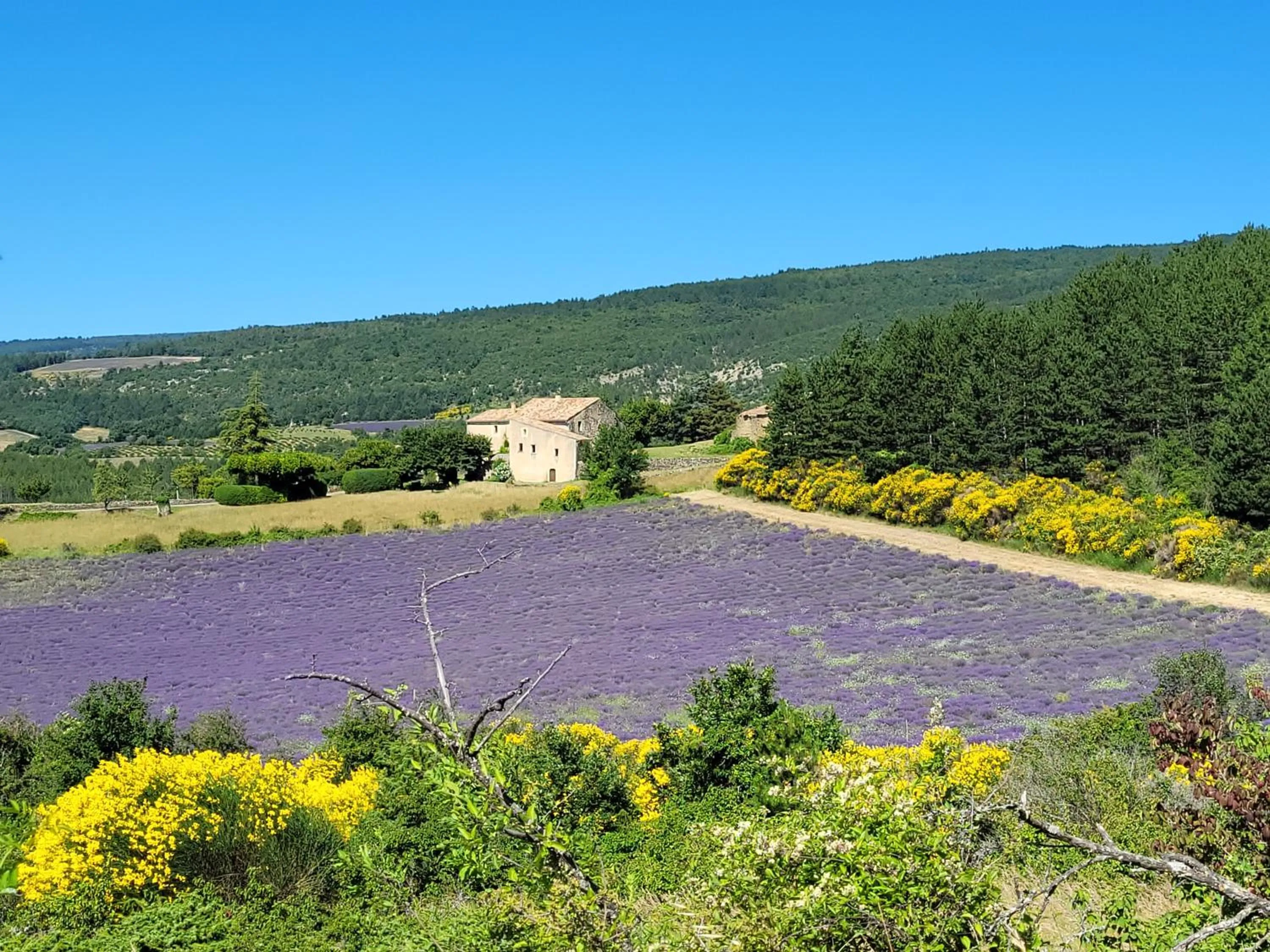 Nearby landmark in Mas de Reilhanette