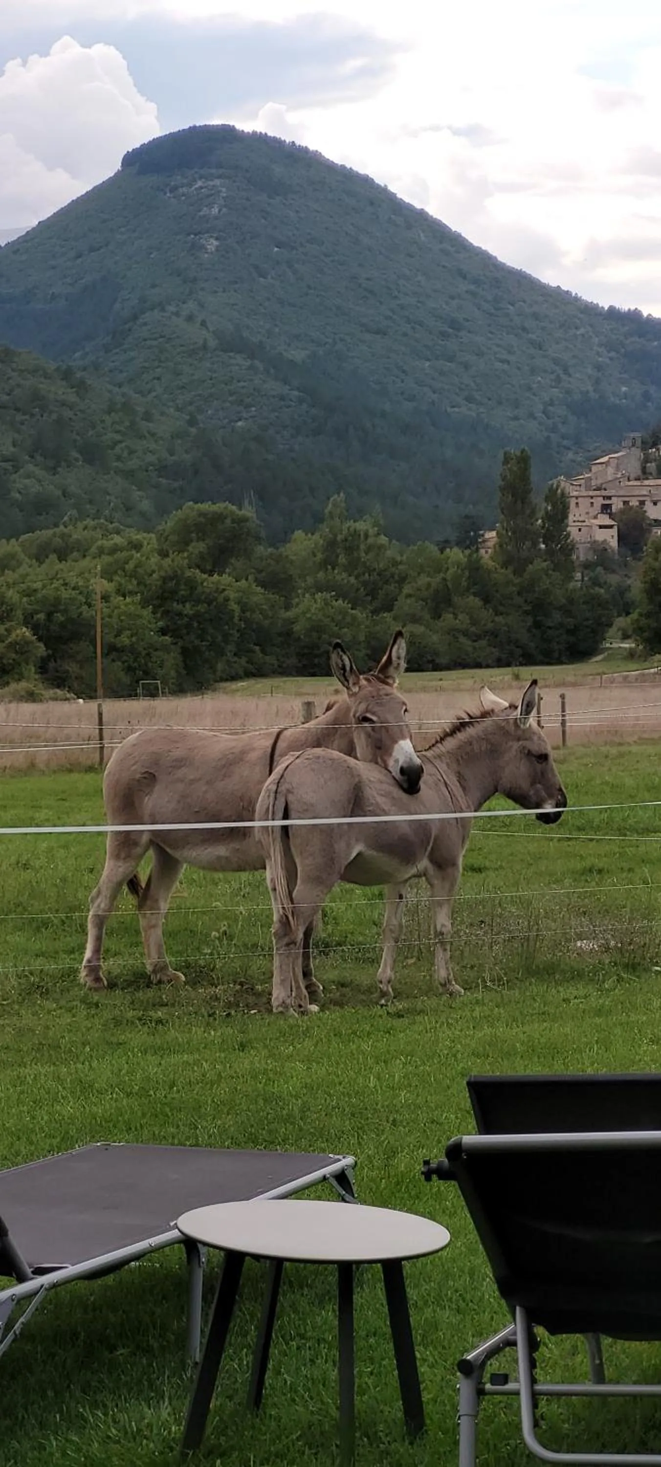 Animals in Mas de Reilhanette