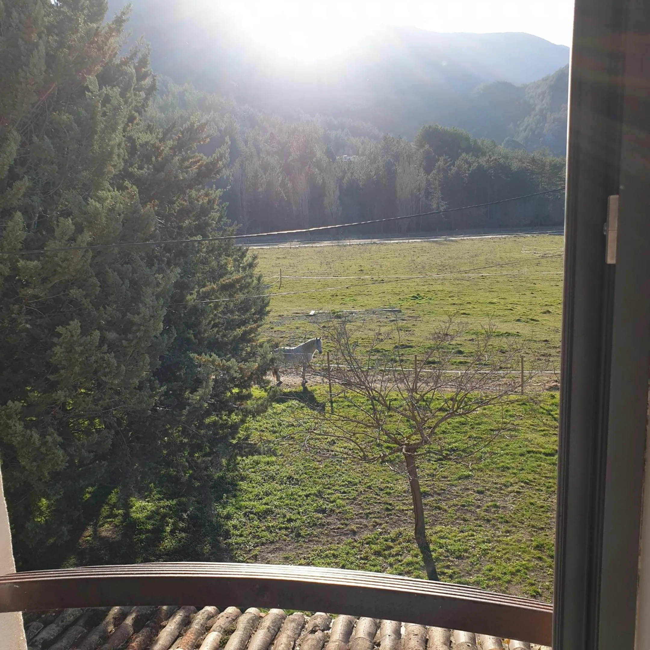 Garden view in Mas de Reilhanette