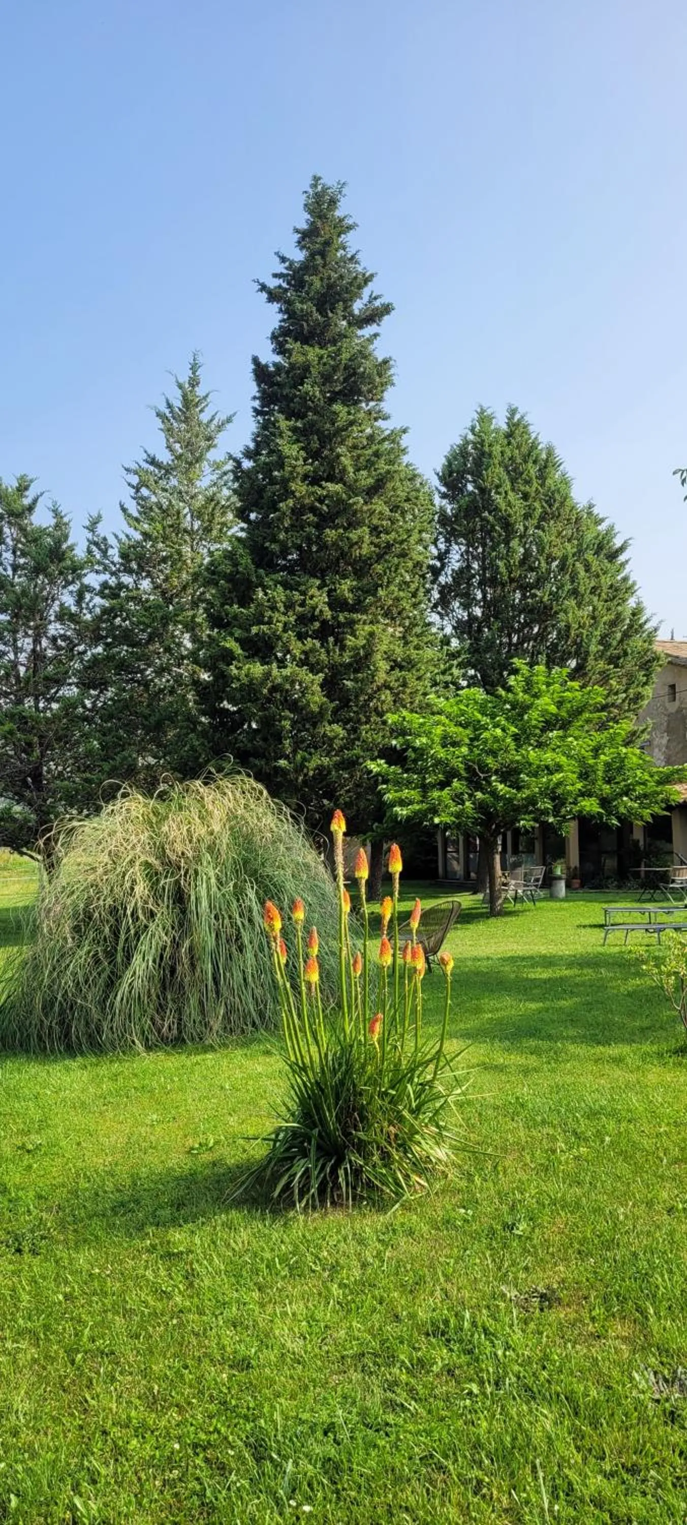 Spring in Mas de Reilhanette