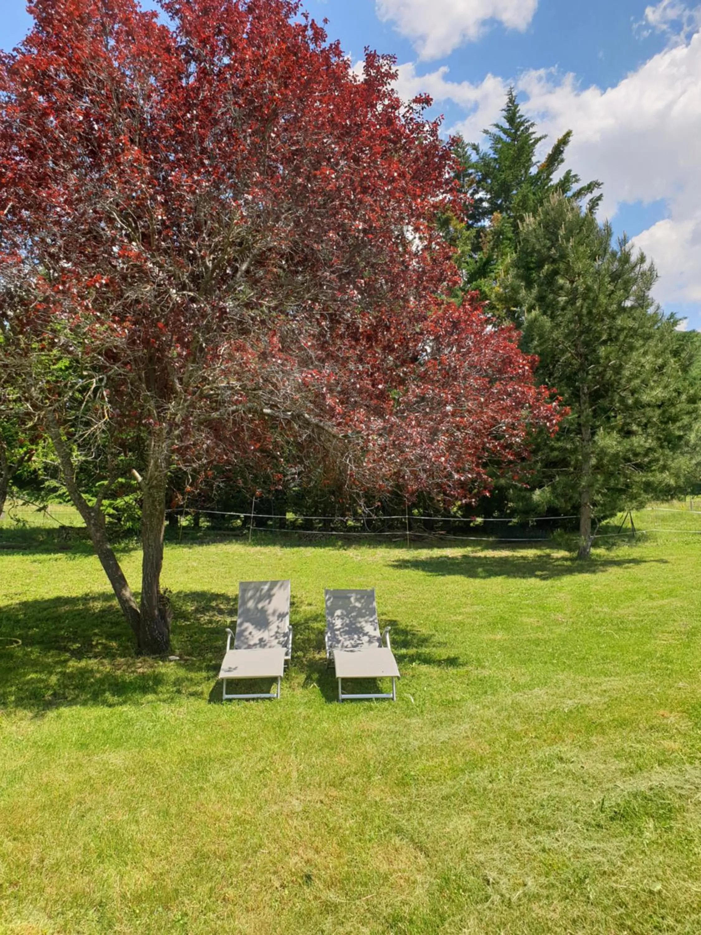 Garden in Mas de Reilhanette