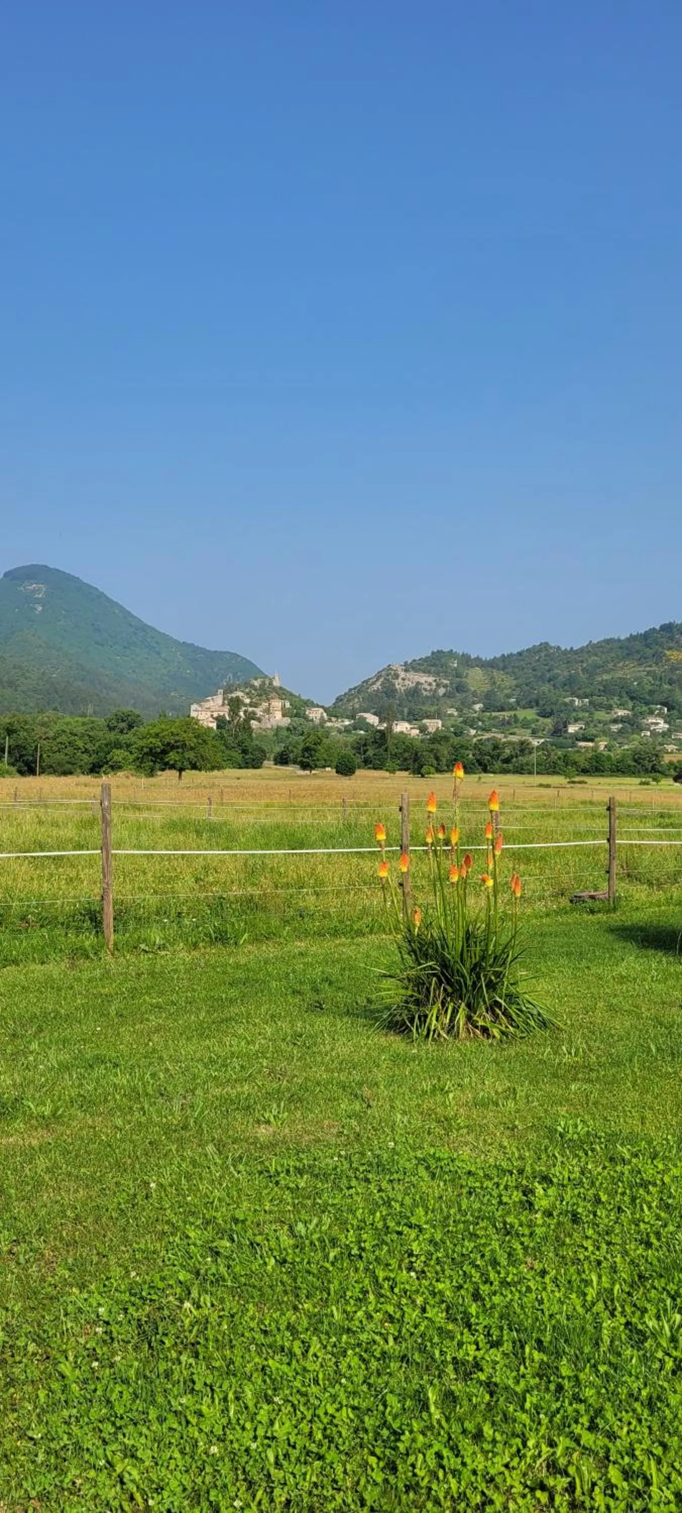 Spring in Mas de Reilhanette