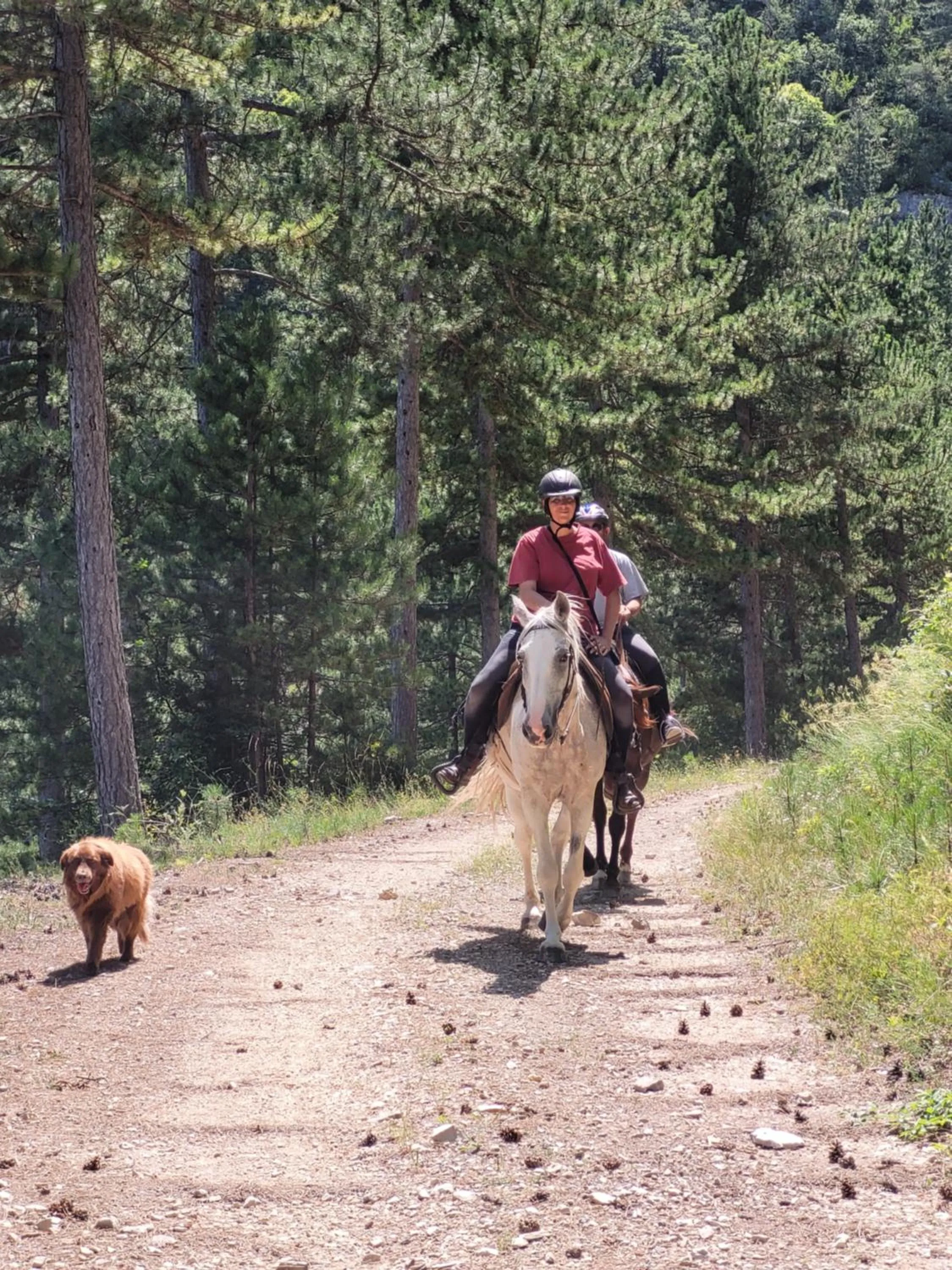 Horse-riding in Mas de Reilhanette
