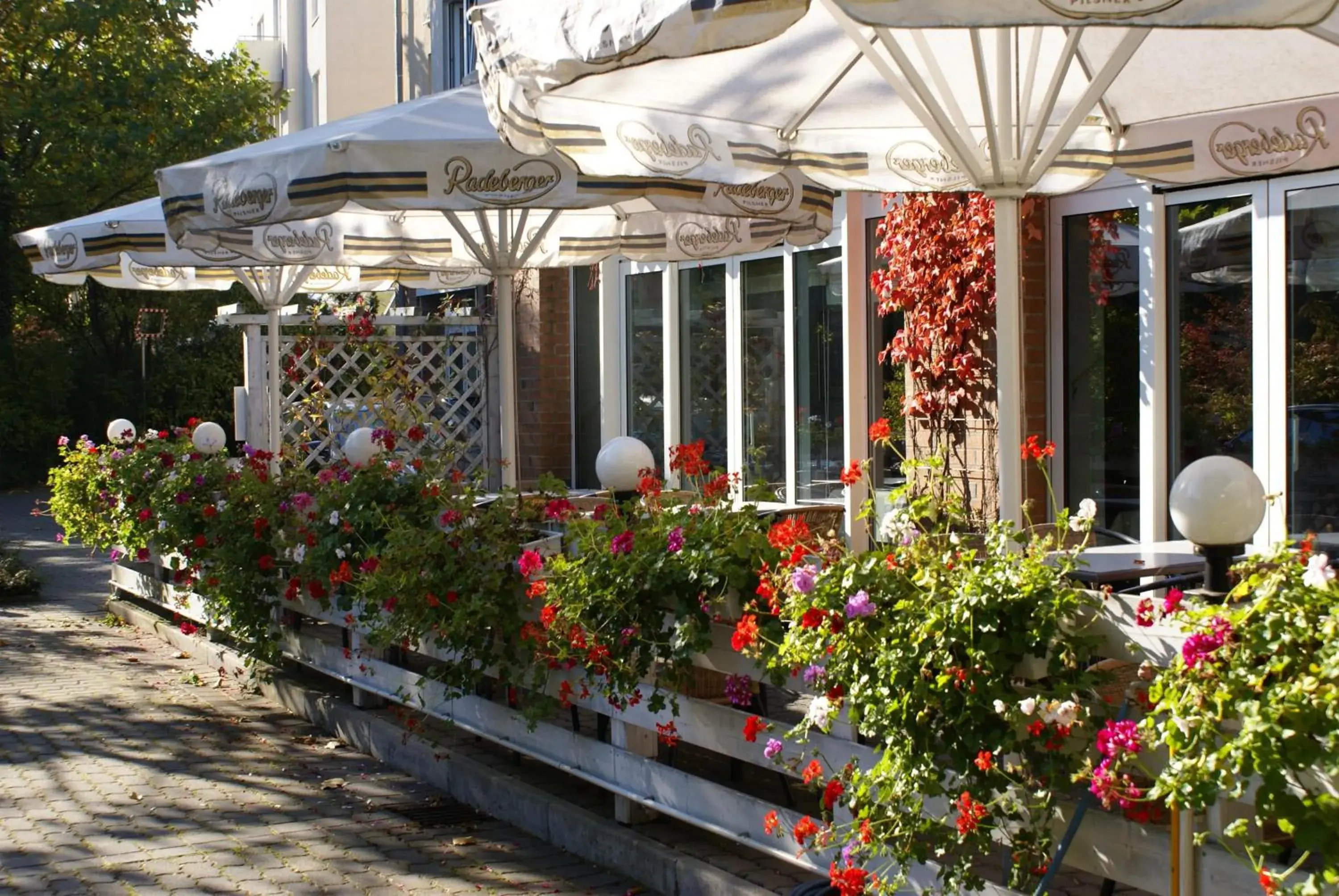 Facade/entrance in Taste Hotel Dresden-ehemals Residenz Alt Dresden Facade/entrance in Taste Hotel Dresden-ehemals Residenz Alt Dresden