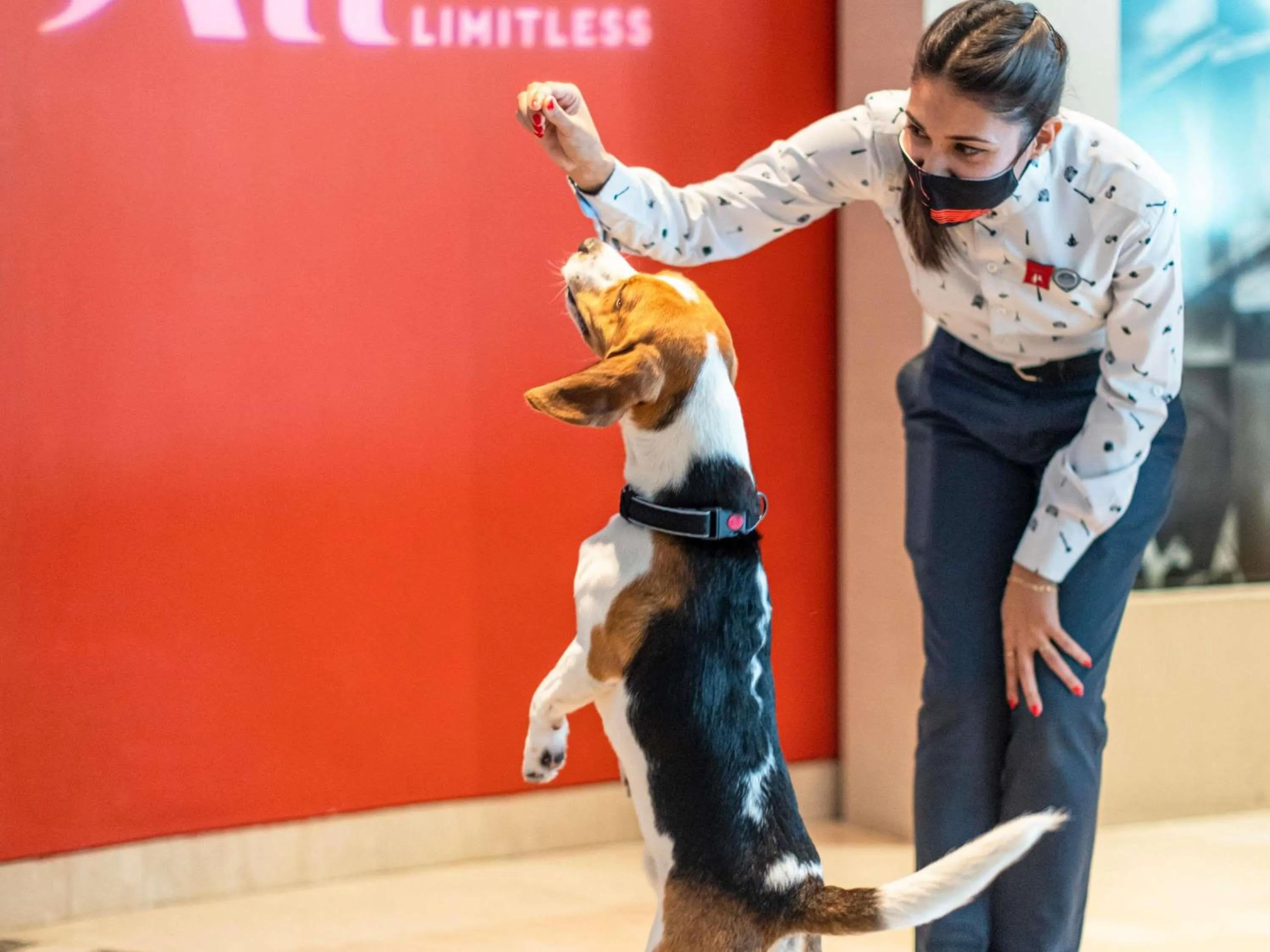 Other in ibis Hotel Düsseldorf Hauptbahnhof