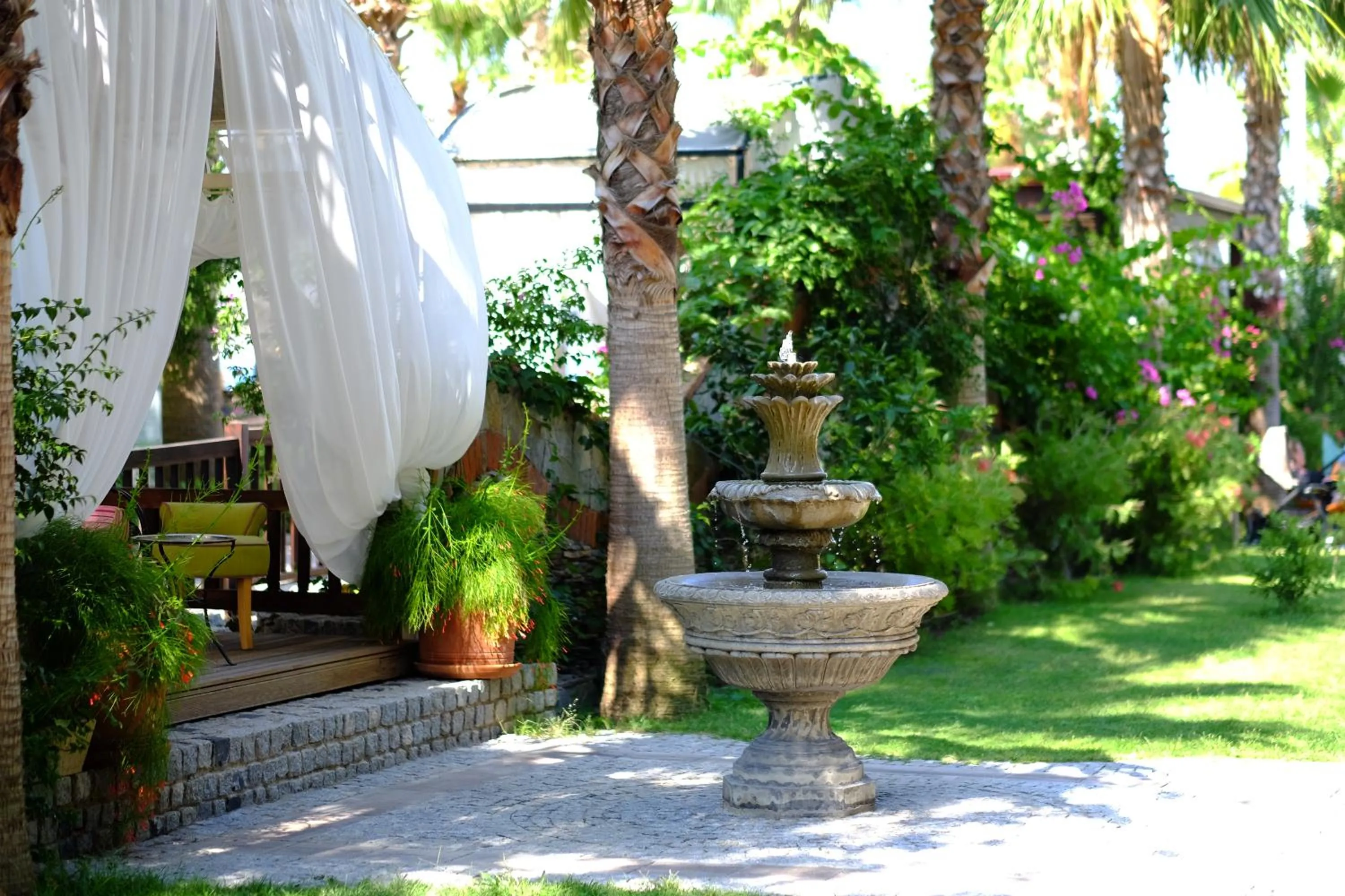 Garden in Marisol Boutique Hotel