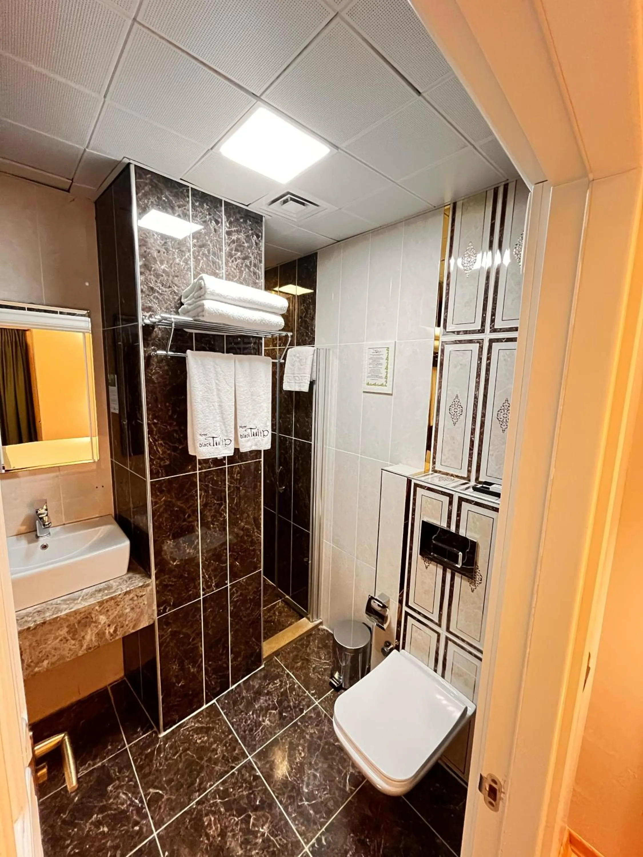 Shower in Hotel Black Tulip