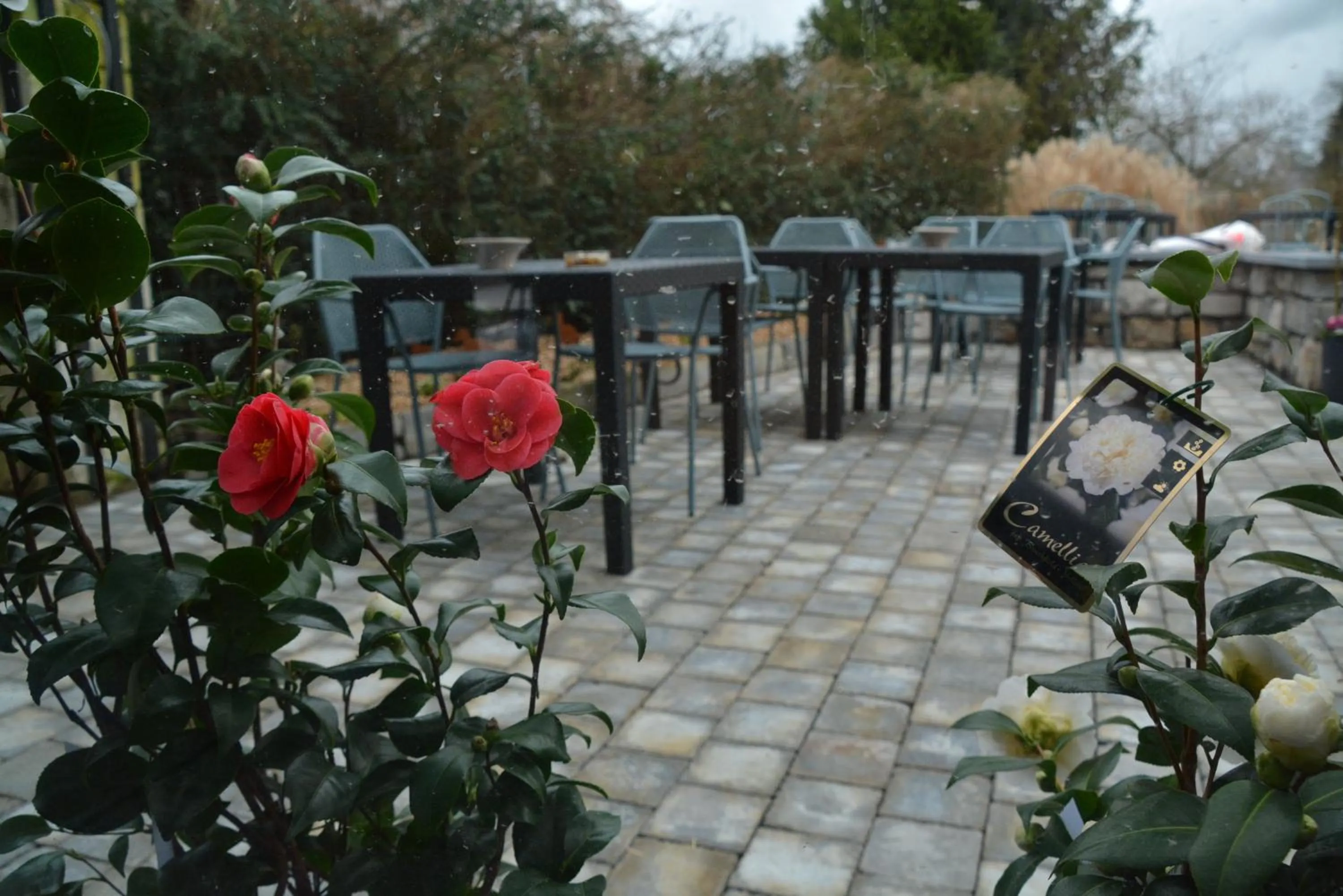 Patio in LA GLORIETTE