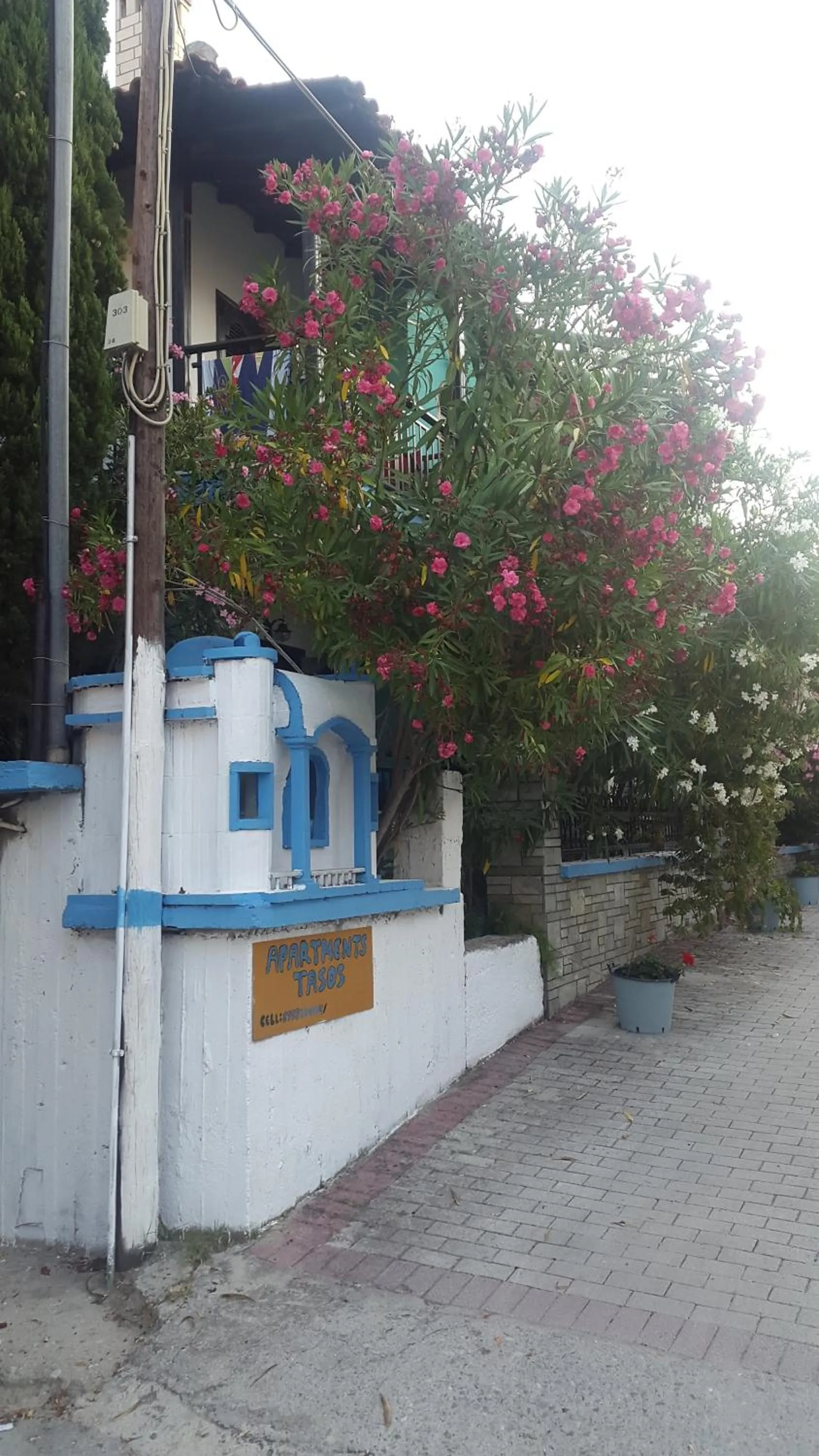 Property building in Tassos 2