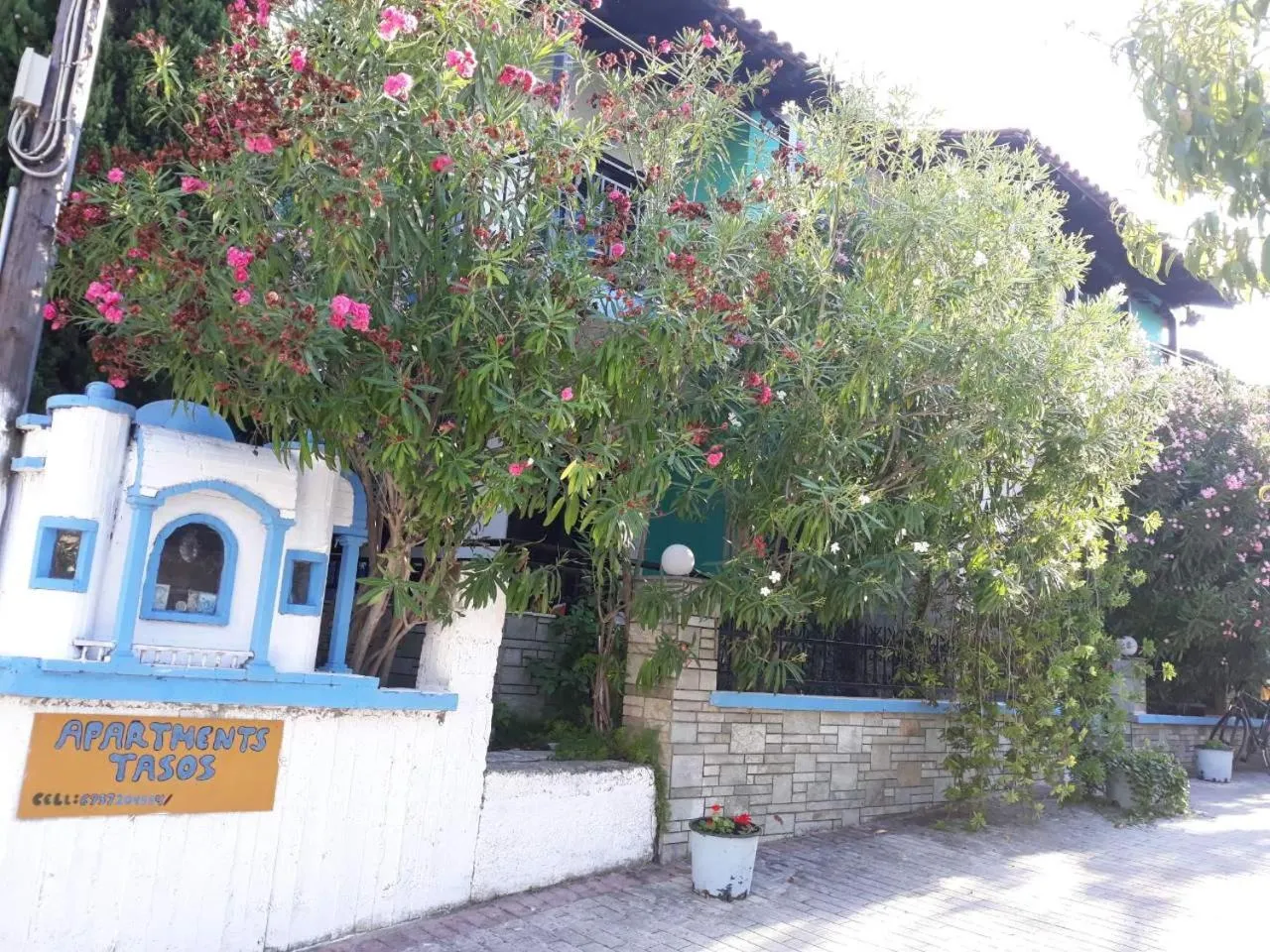 Property building in Tassos 2