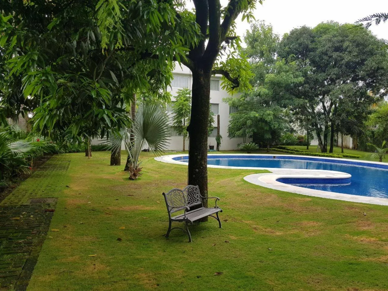 Garden in Hotel Verdi