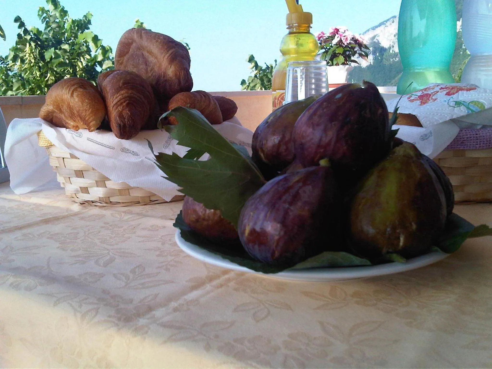 Food and drinks in Casa Falcone B&B