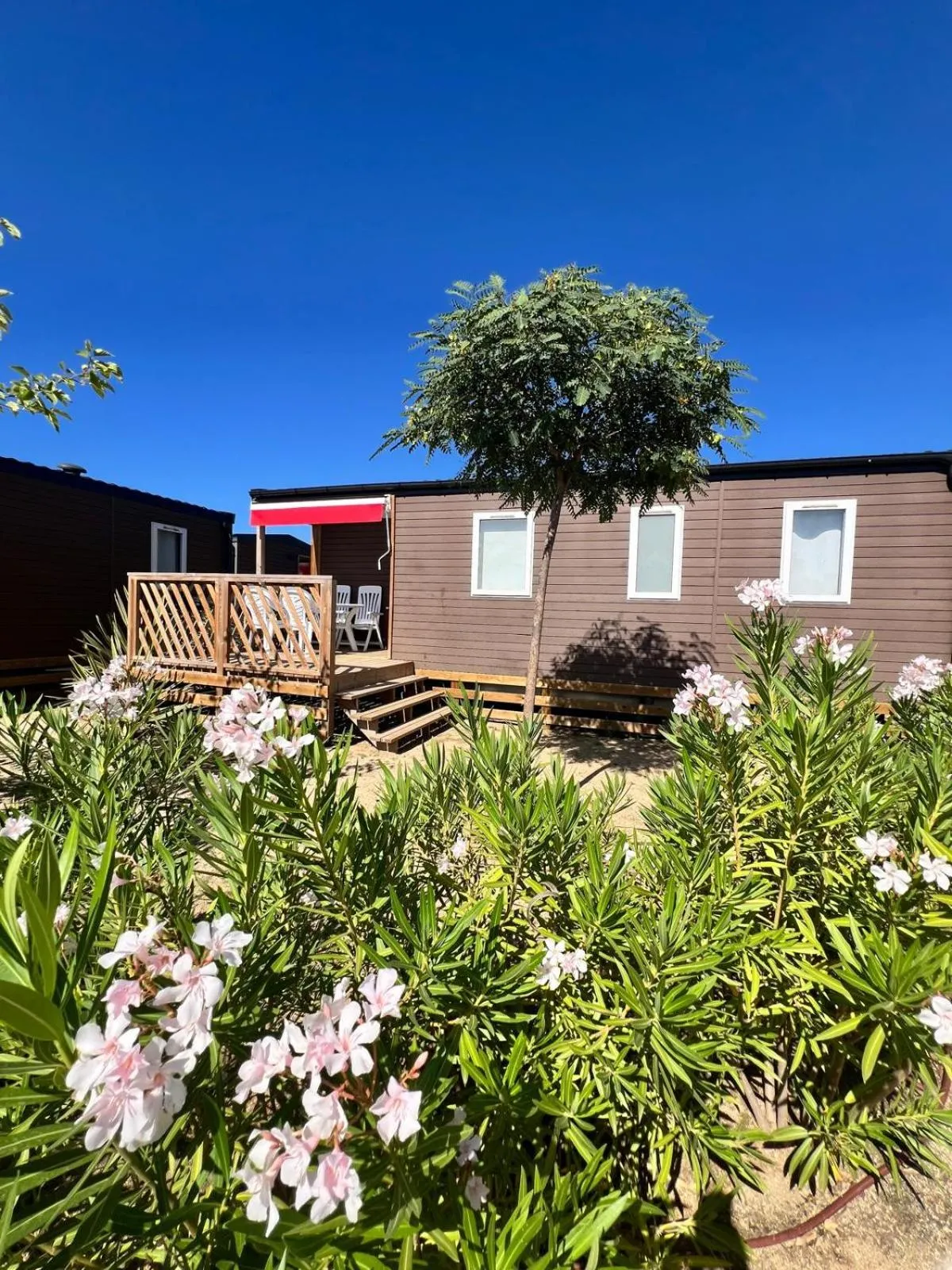 Property building in Camping Resort Els Pins