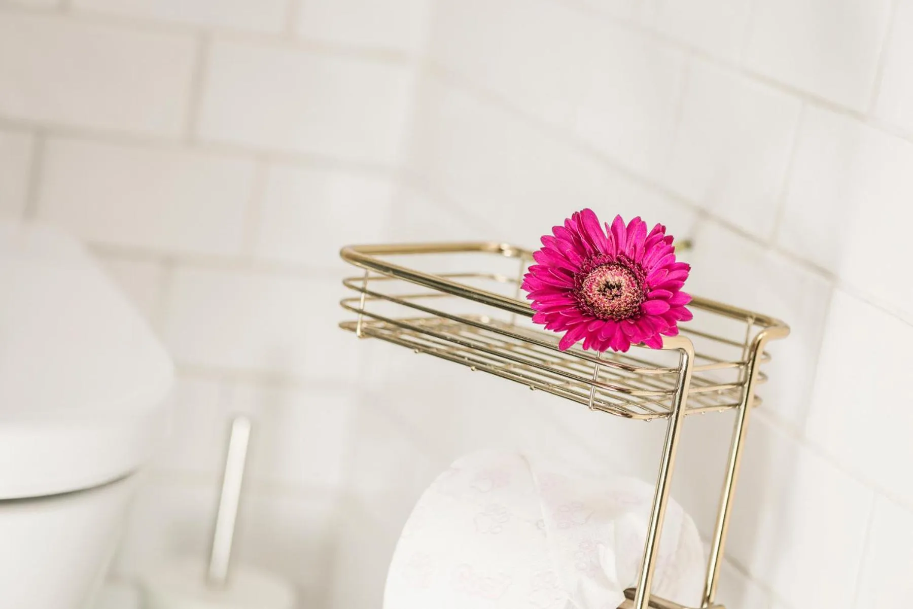 Emma's kleines Hotel