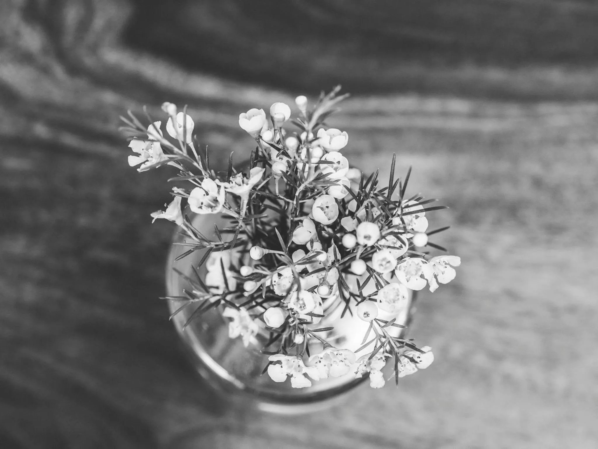 Emma's kleines Hotel