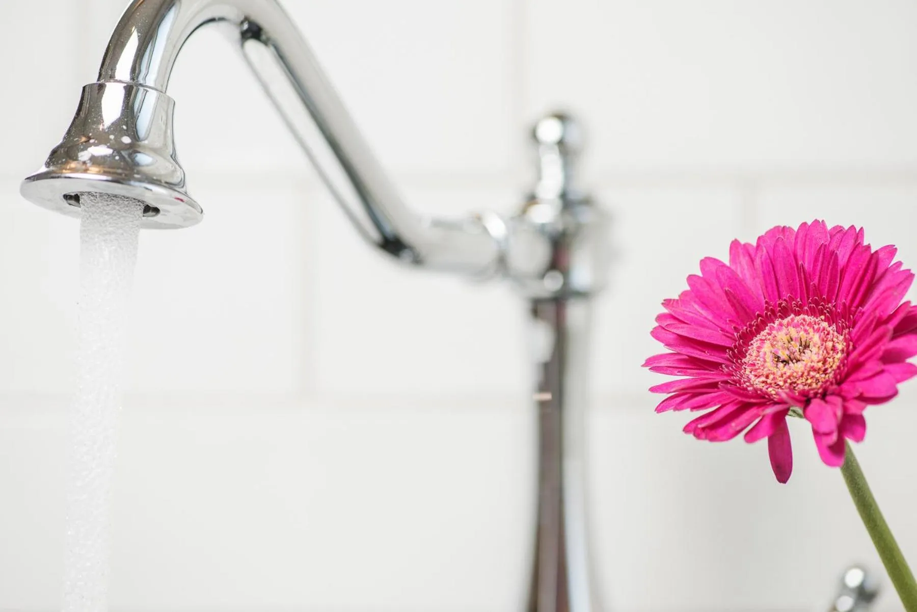 Emma's kleines Hotel