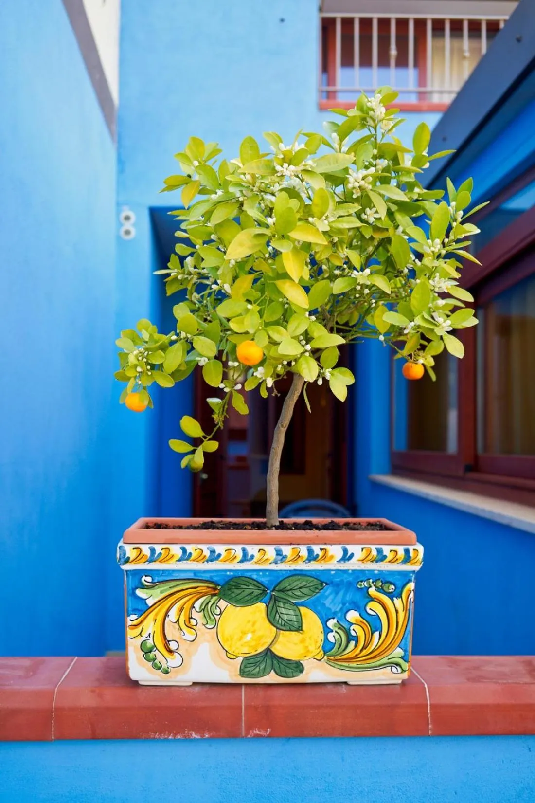 Property building in La Piazzetta