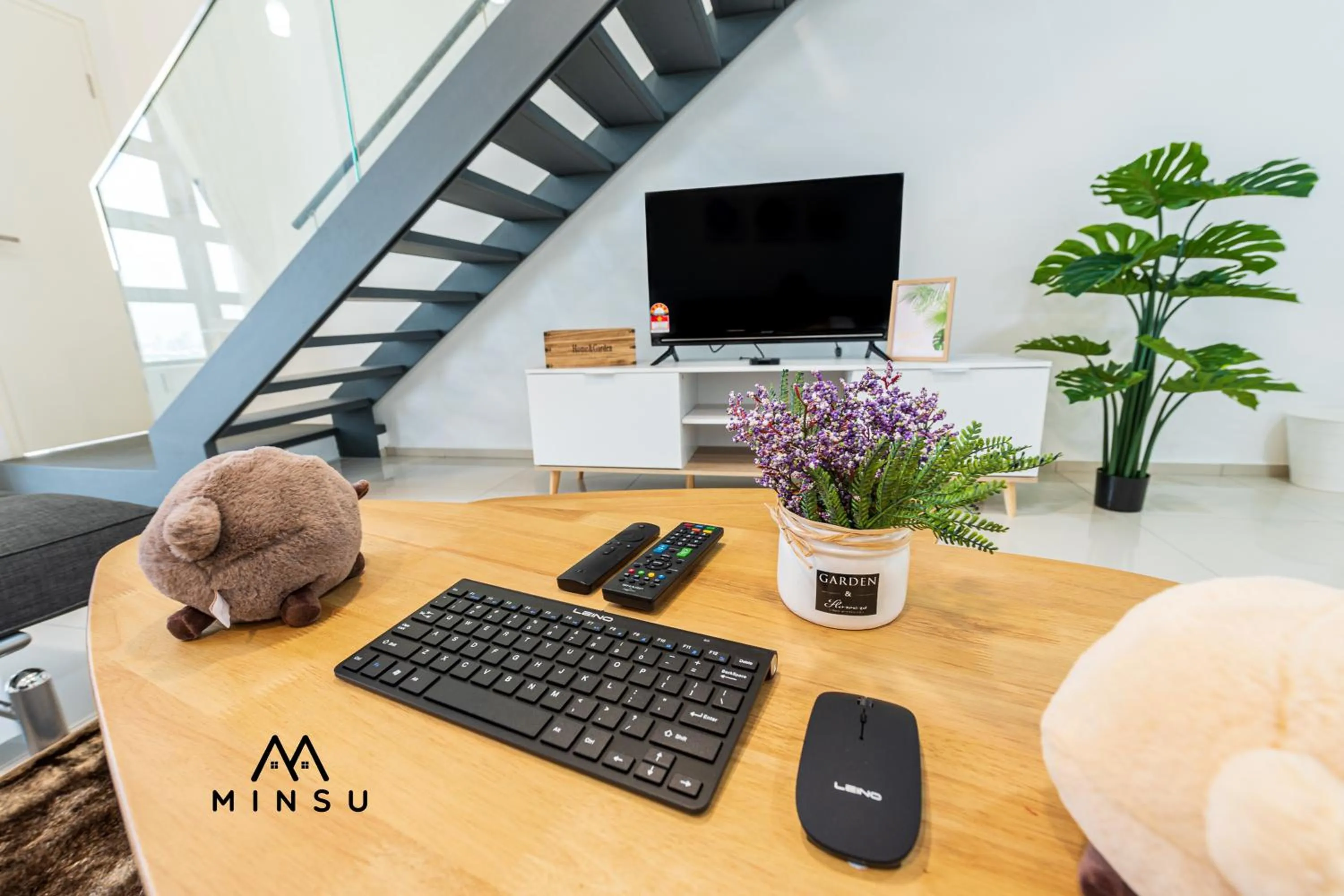 TV and multimedia in Minsu (Ekocheras)