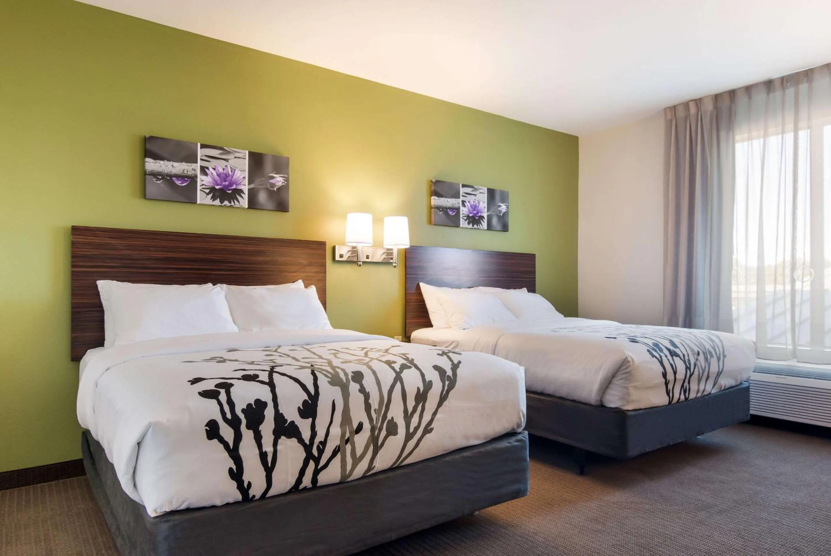 Photo of the whole room, Bed in Sleep Inn East Camden