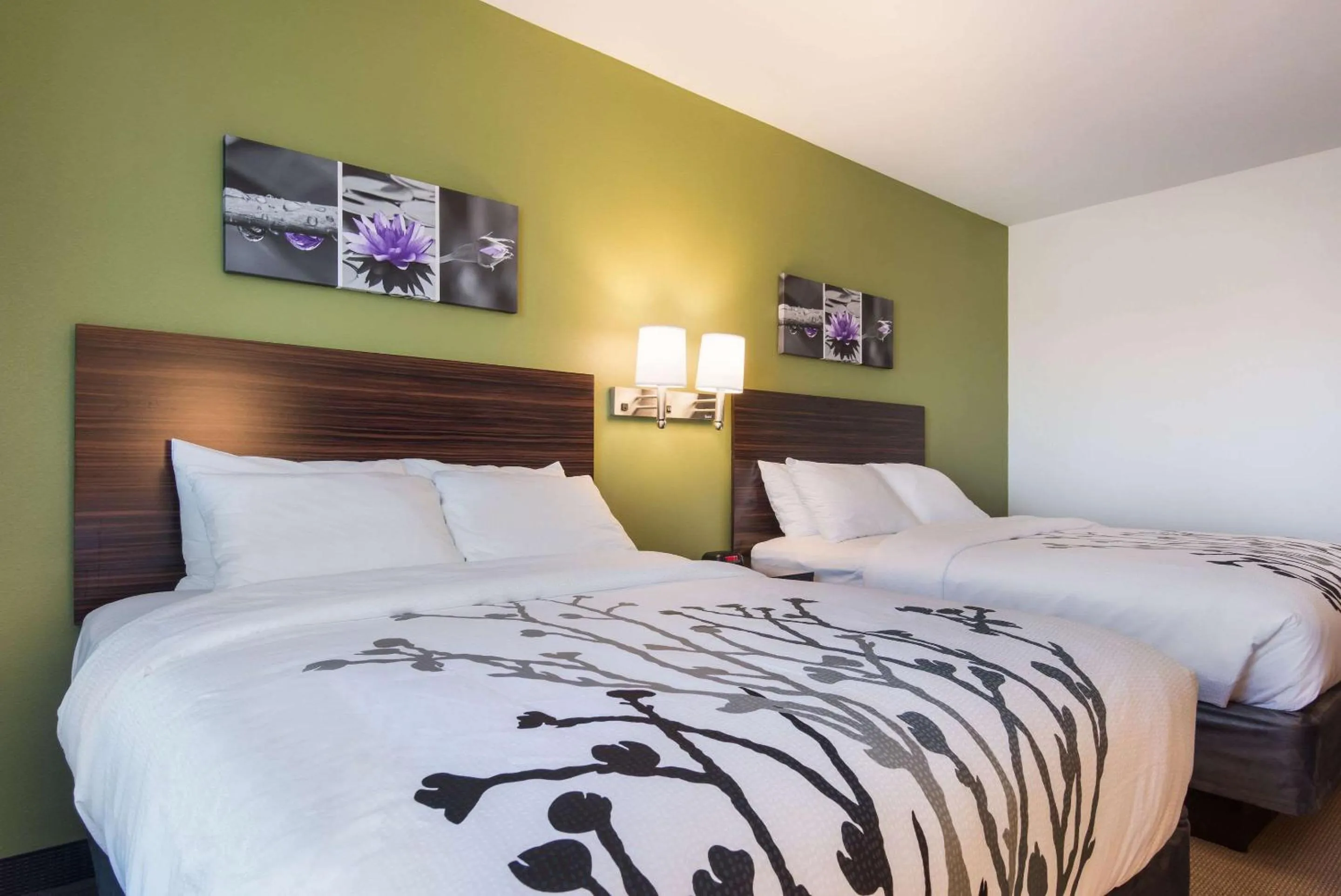 Photo of the whole room, Bed in Sleep Inn East Camden