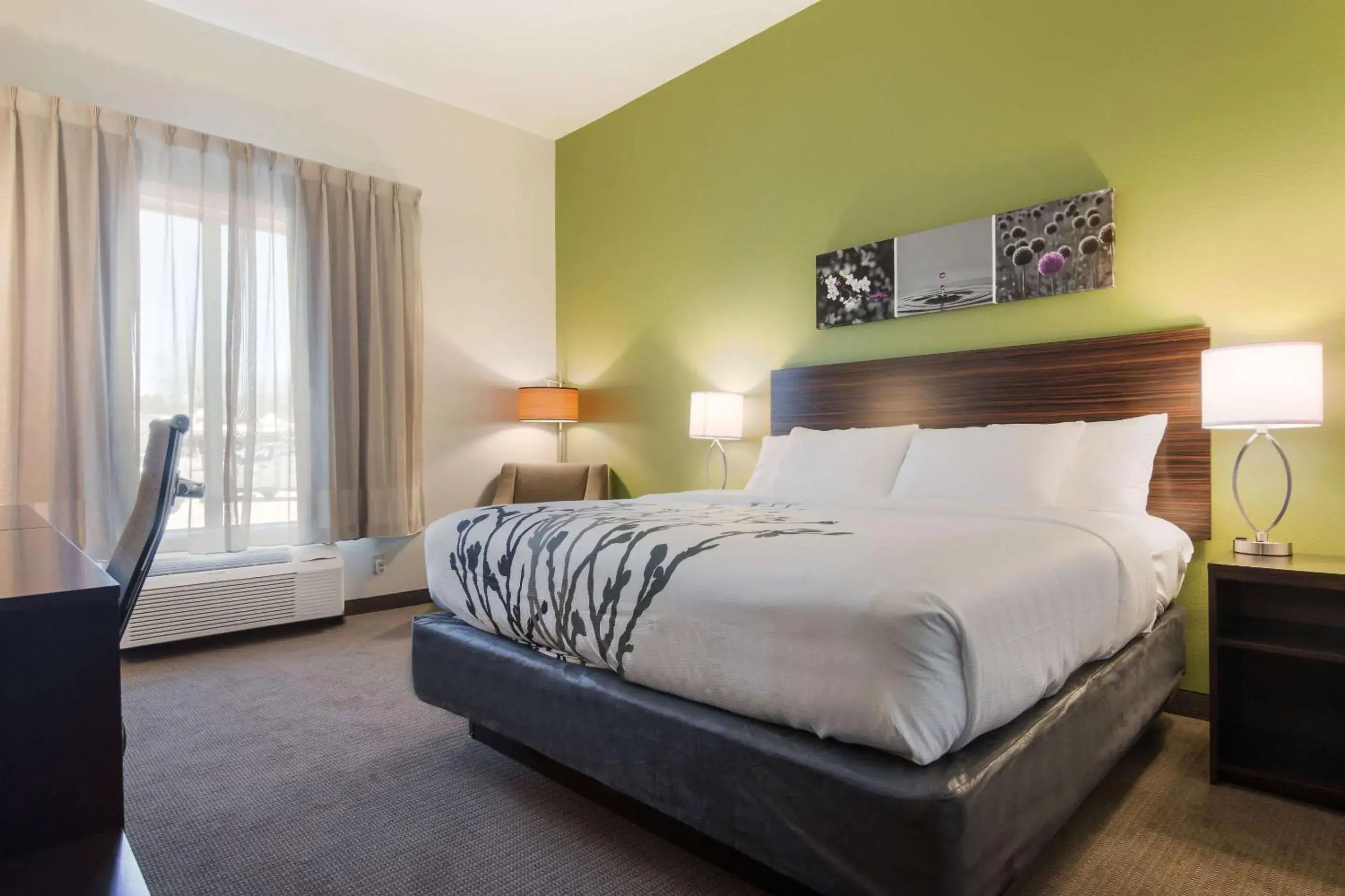 Photo of the whole room, Bed in Sleep Inn East Camden Photo of the whole room, Bed in Sleep Inn East Camden