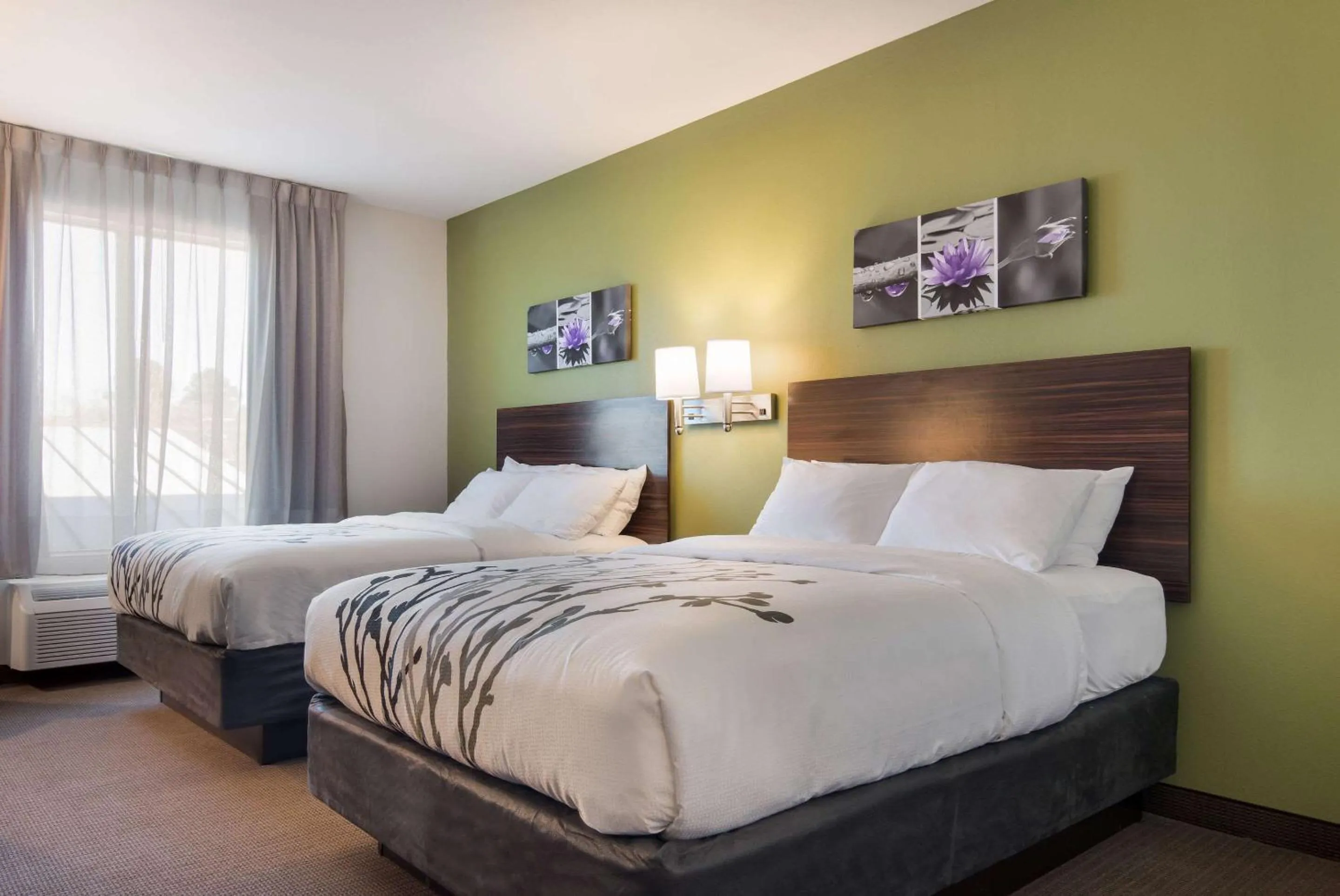 Photo of the whole room, Bed in Sleep Inn East Camden