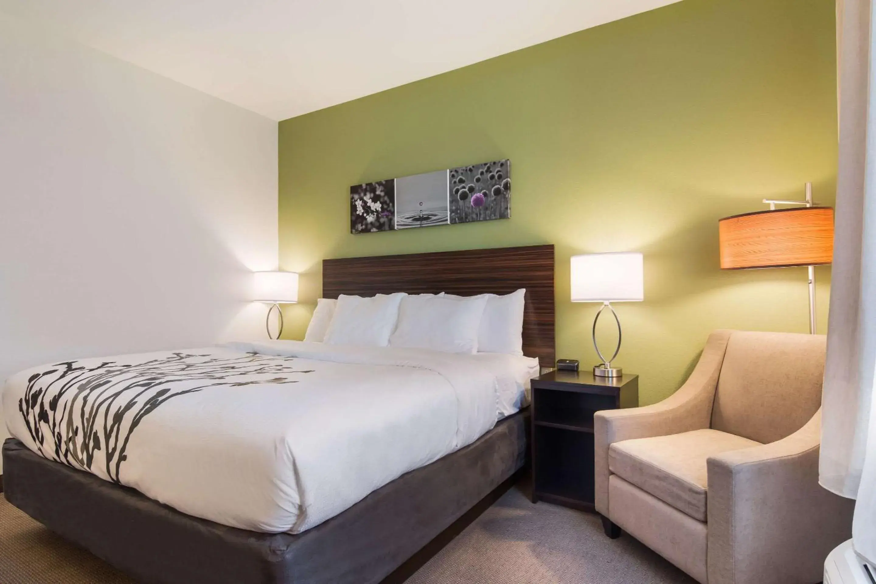 Photo of the whole room, Bed in Sleep Inn East Camden Photo of the whole room, Bed in Sleep Inn East Camden