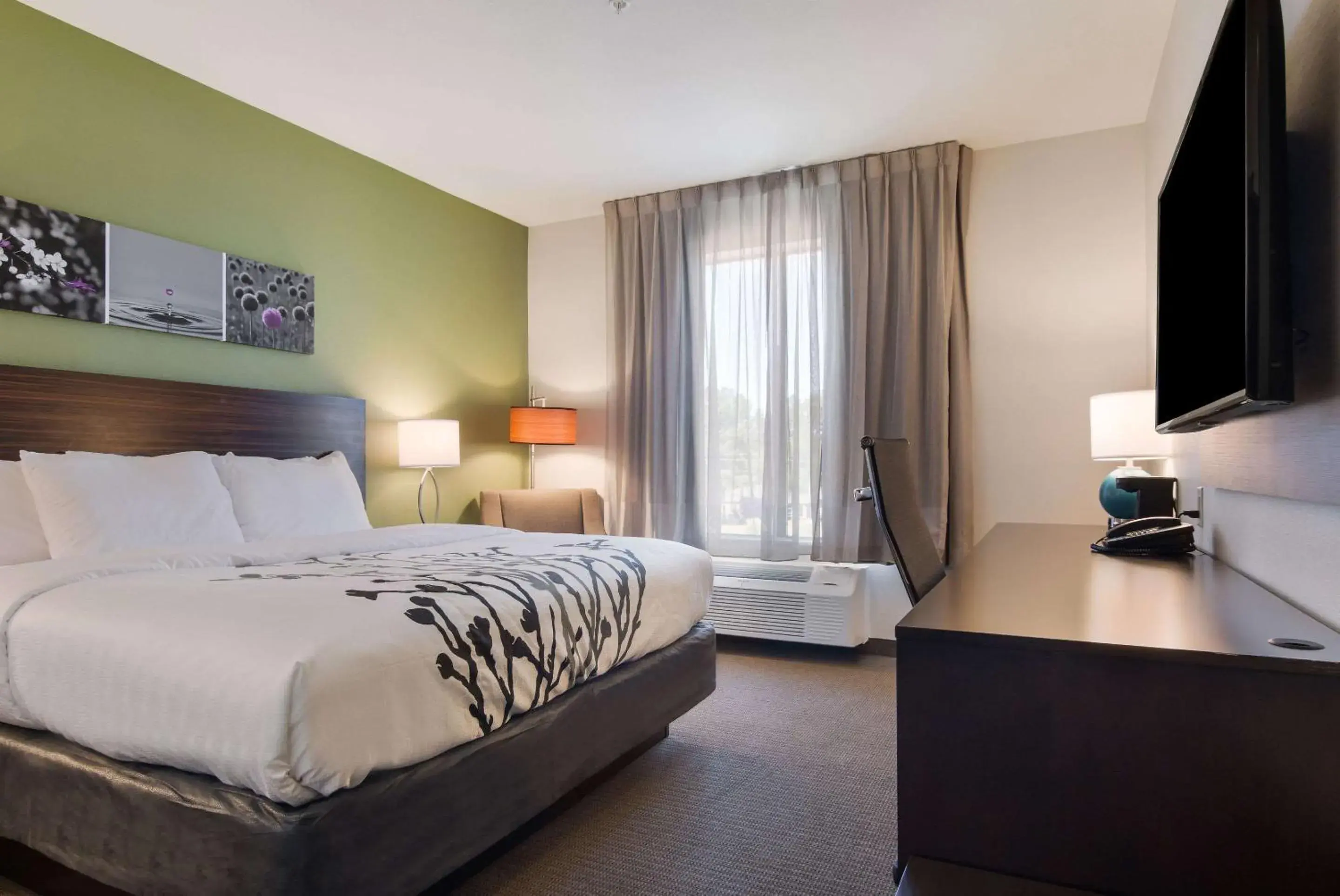 Photo of the whole room, Bed in Sleep Inn East Camden Photo of the whole room, Bed in Sleep Inn East Camden